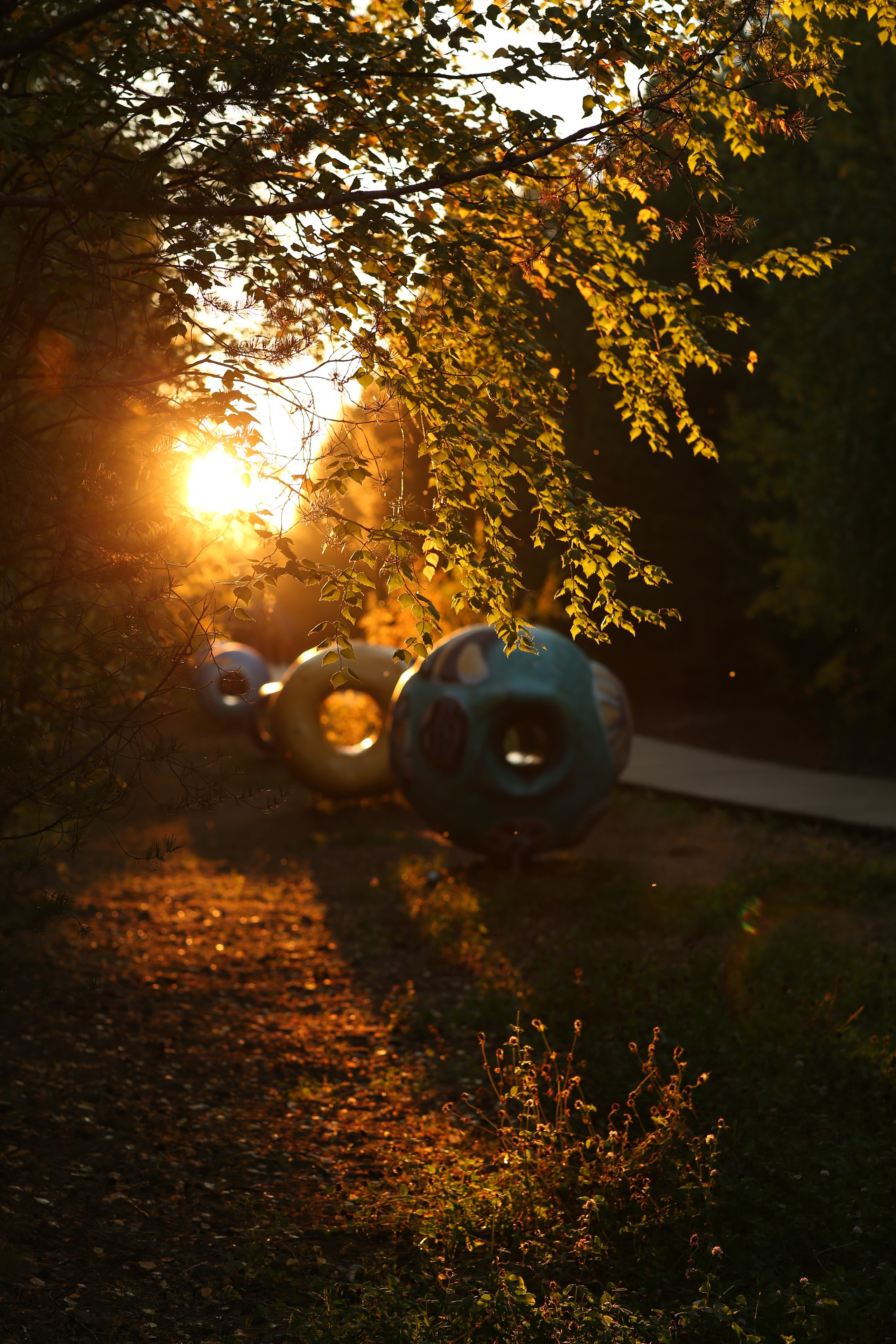 Сургут. Фотограф в г. Сургуте Марина Киприна