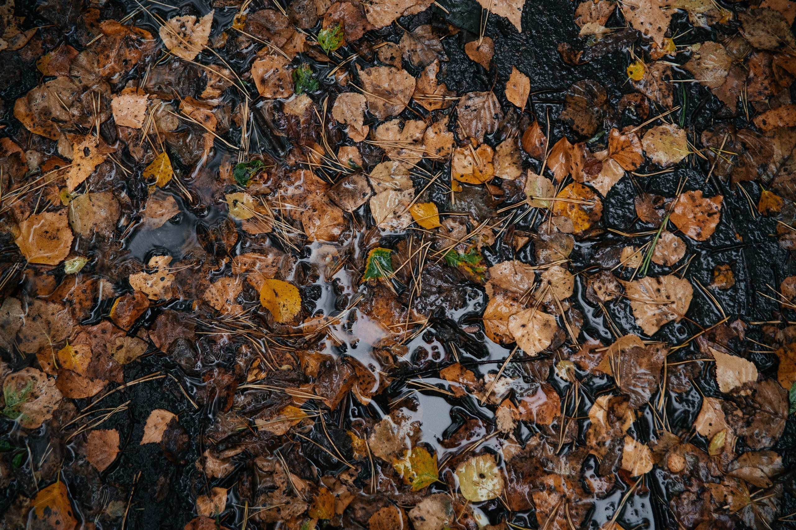 Фотосъемка спортивных мероприятий. Фотограф Москва