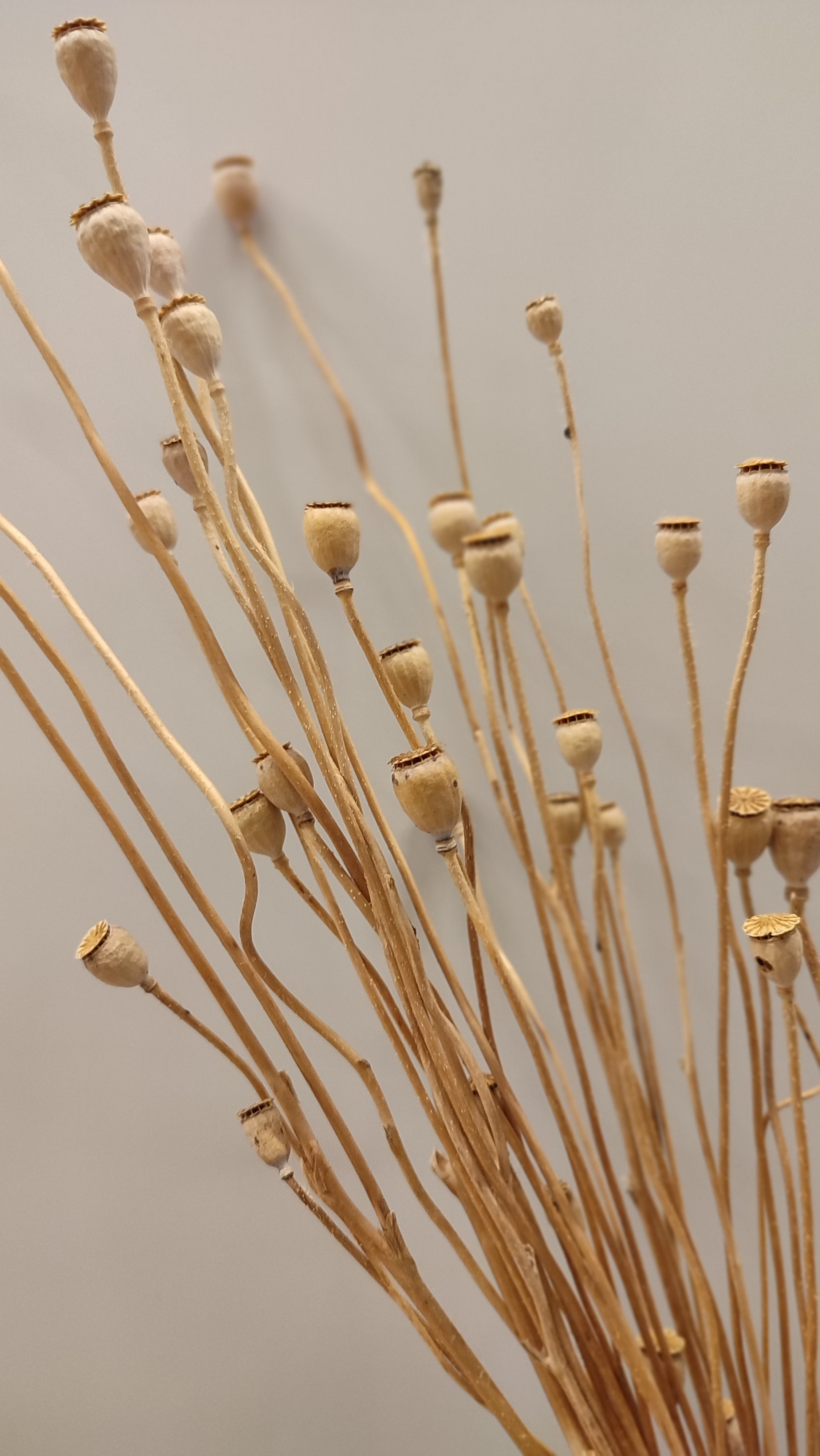 Дизайнер интерьера и 3D визуализатор Ванчугова Ольга