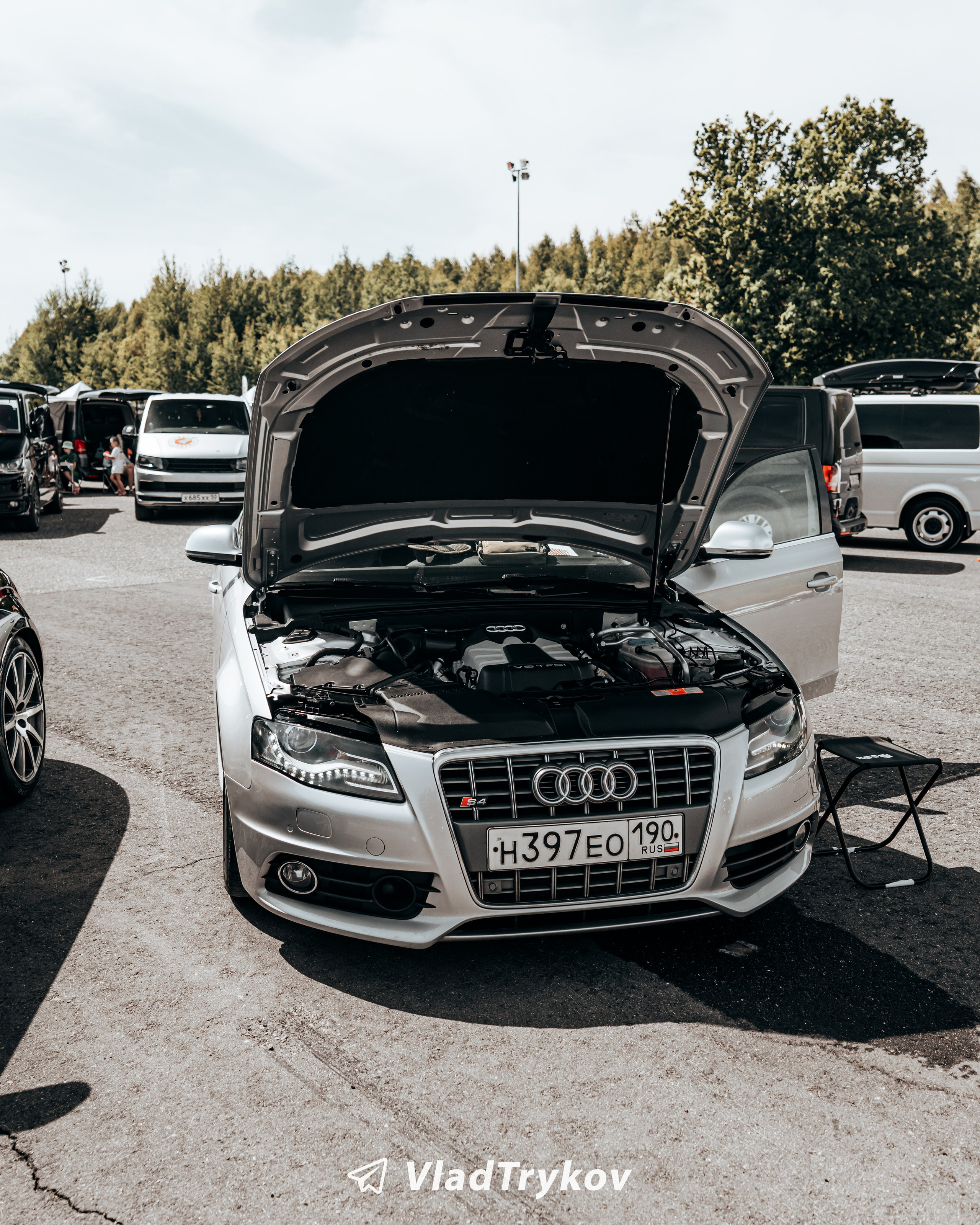 Vagburg. Vlad Trykov