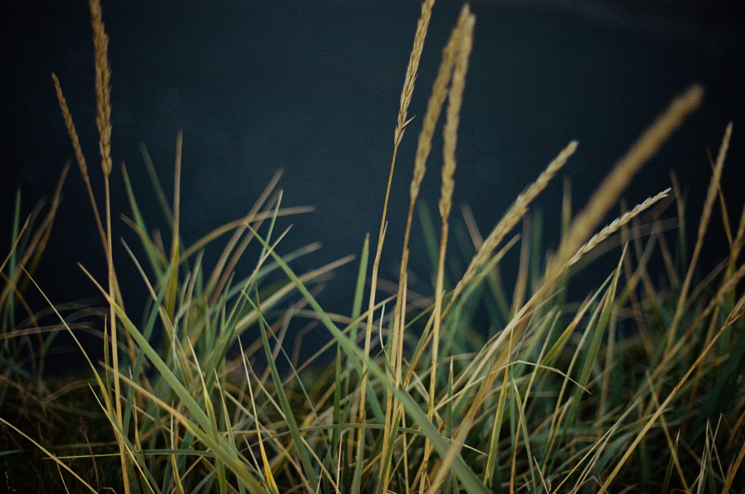 I of the storm // iceland, dyrhólaey. EVER EXPOSED