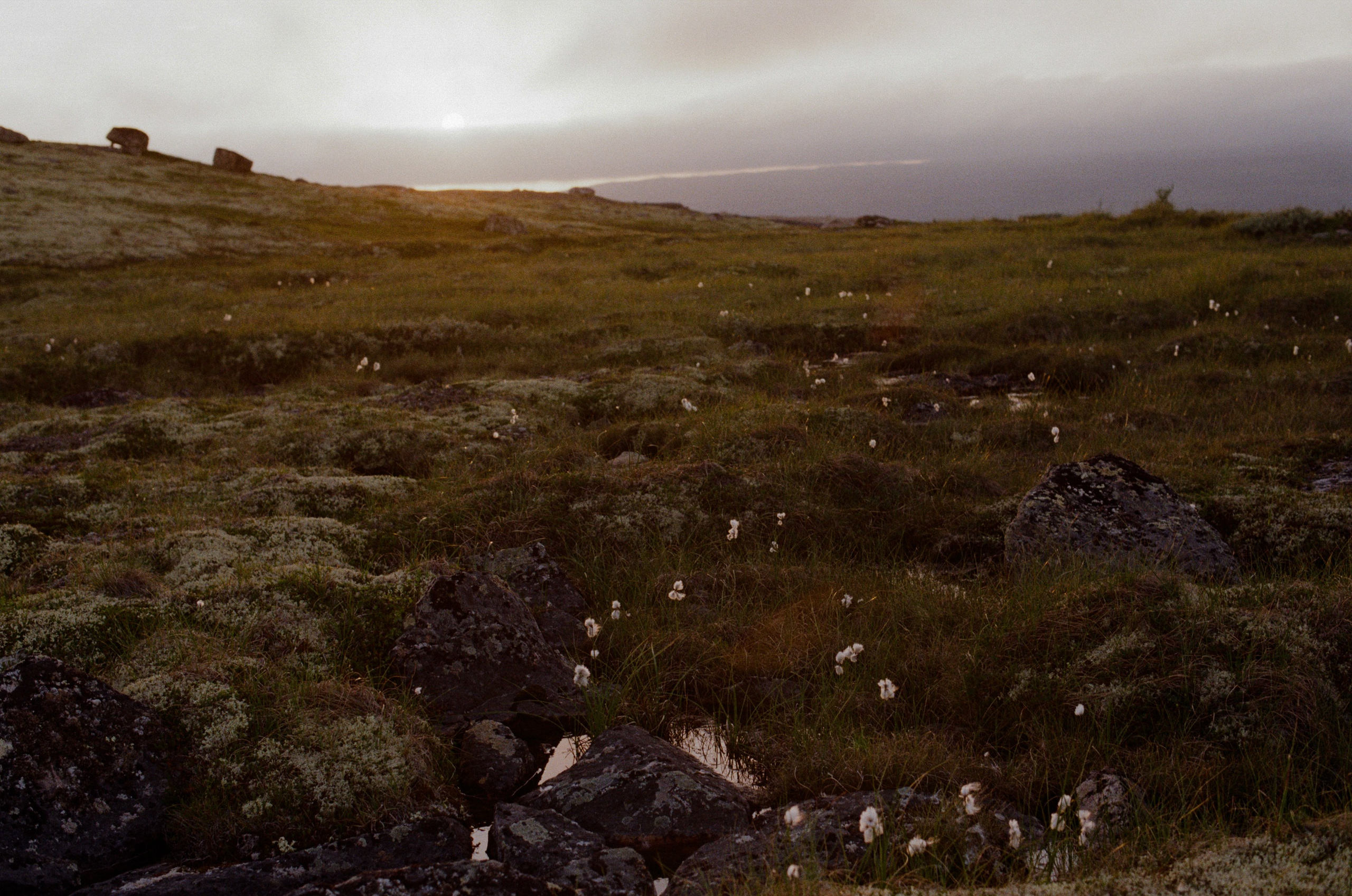 High and dry // kola peninsula. EVER EXPOSED
