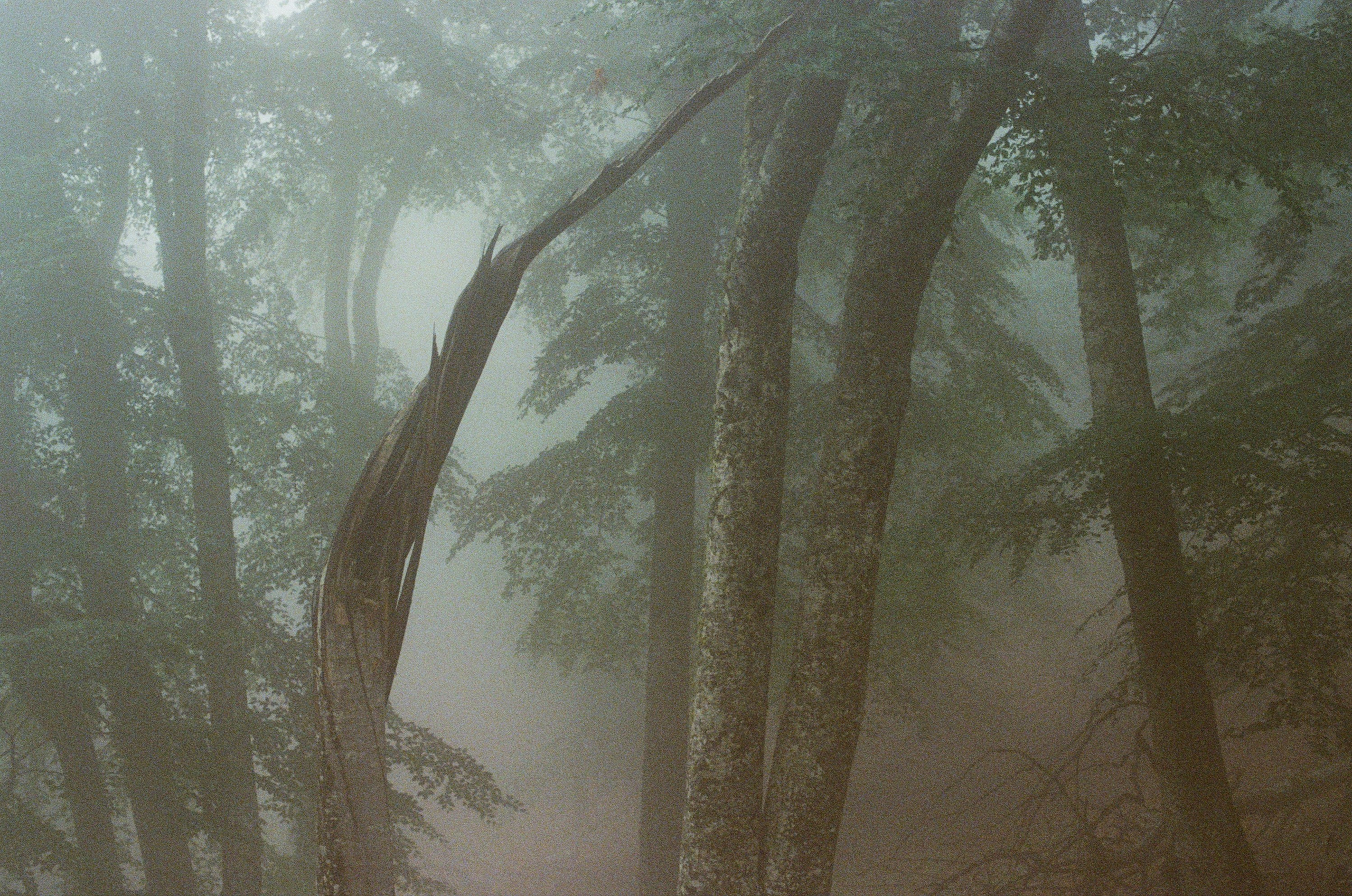 Dig it // ukraine, crimea II. EVER EXPOSED