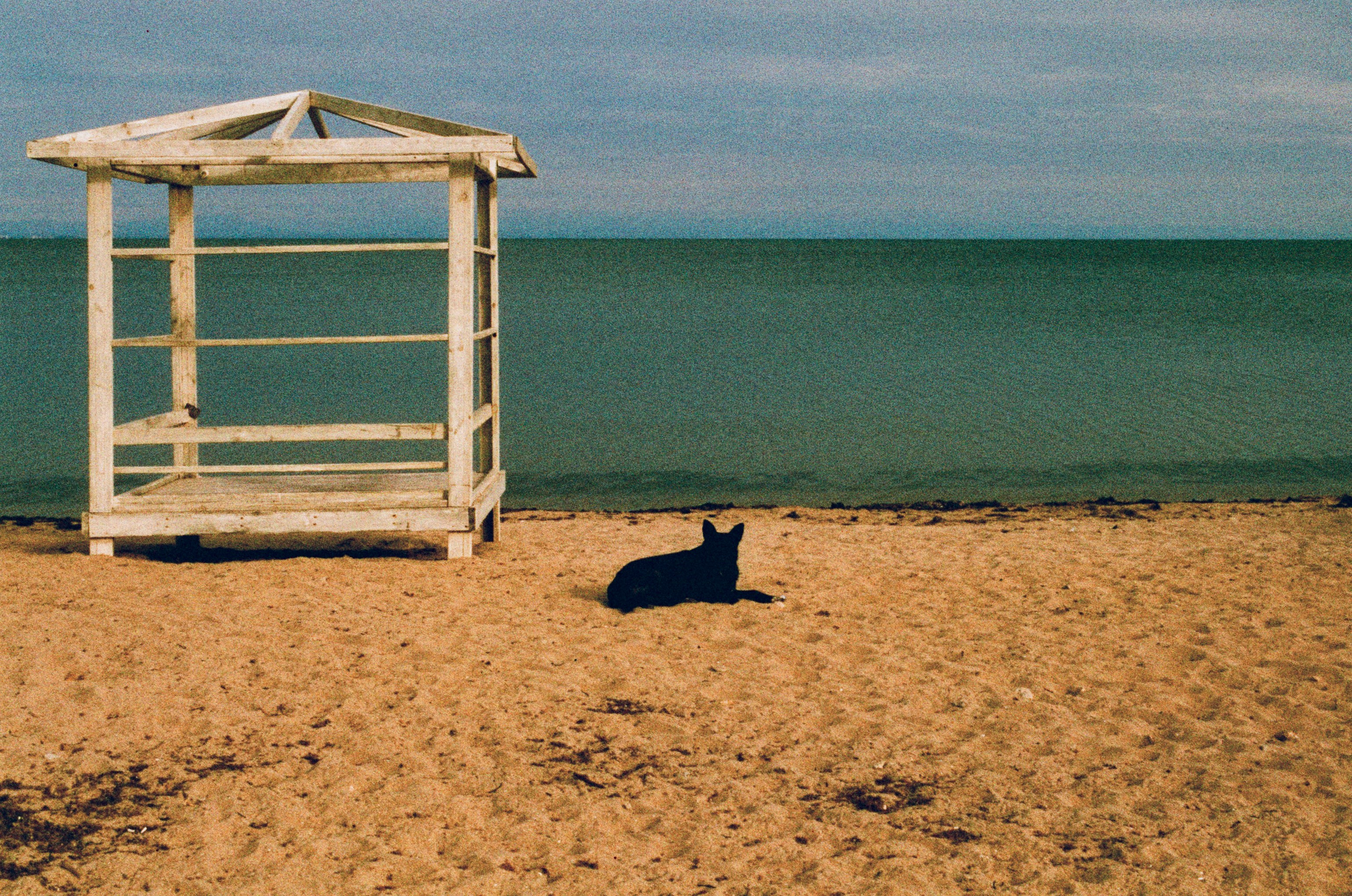 Press enter to exit // ukraine, crimea II. EVER EXPOSED