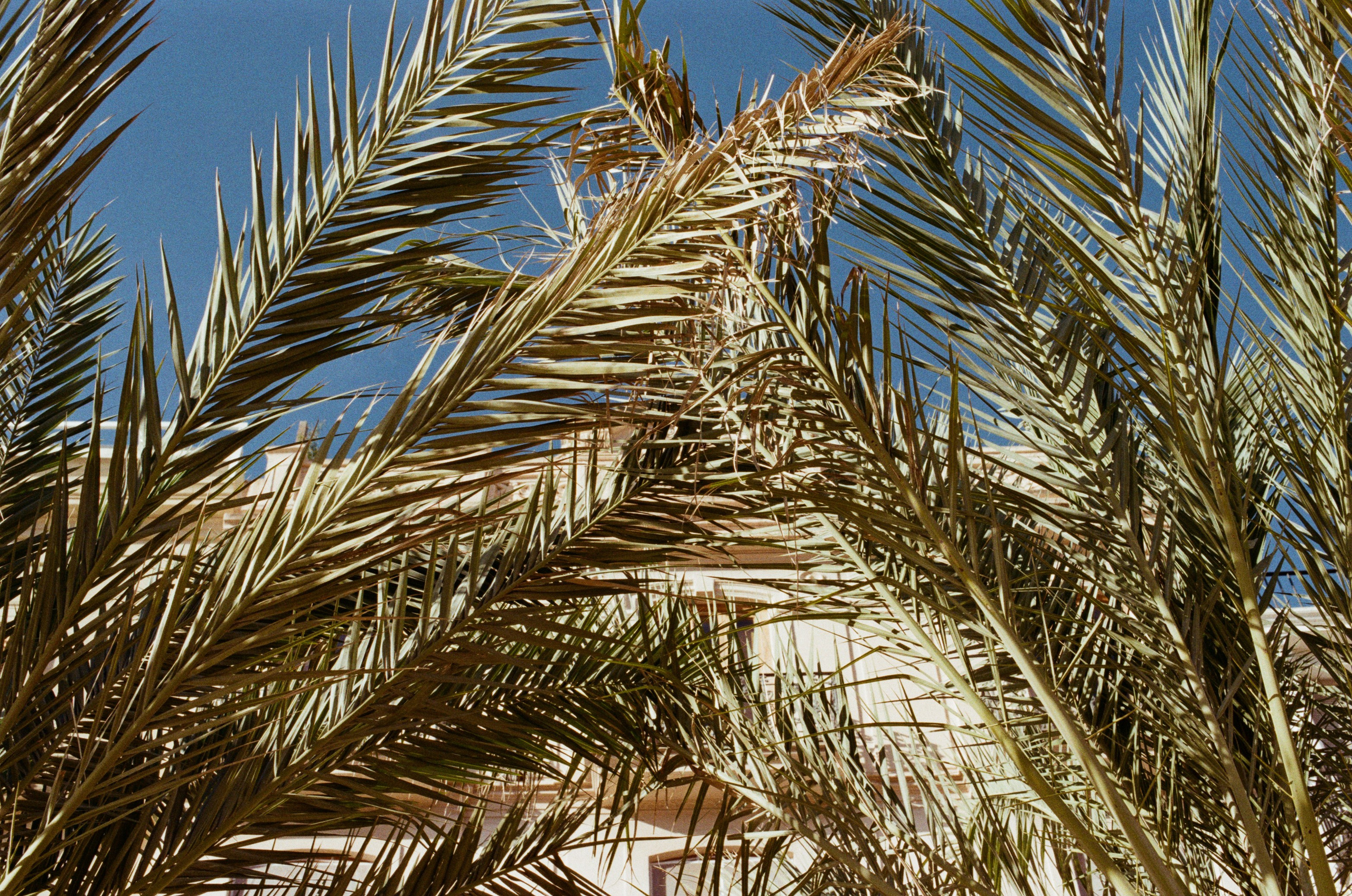 Spanish sahara // spain, valencia. EVER EXPOSED