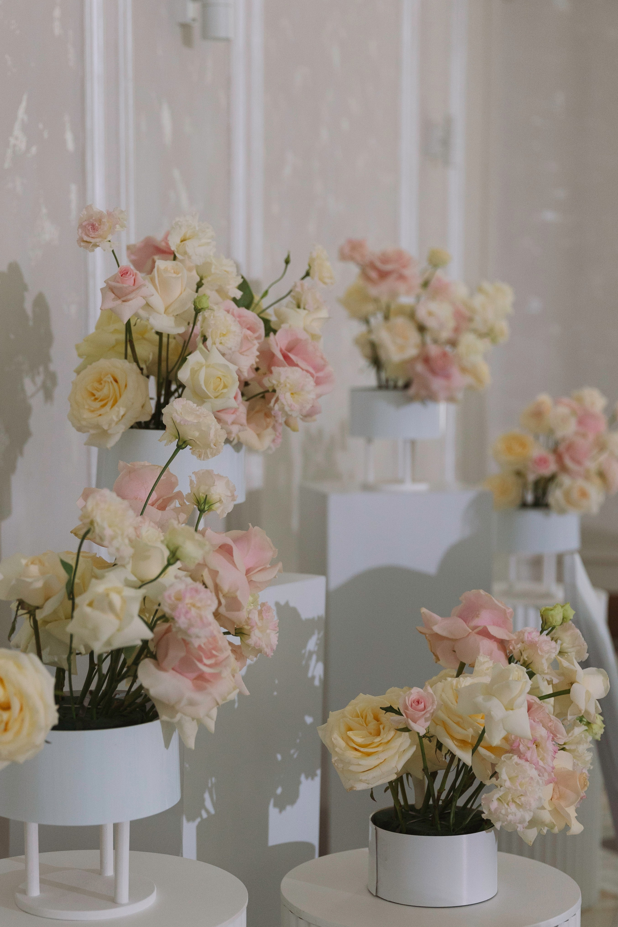 Тимофей и Олеся