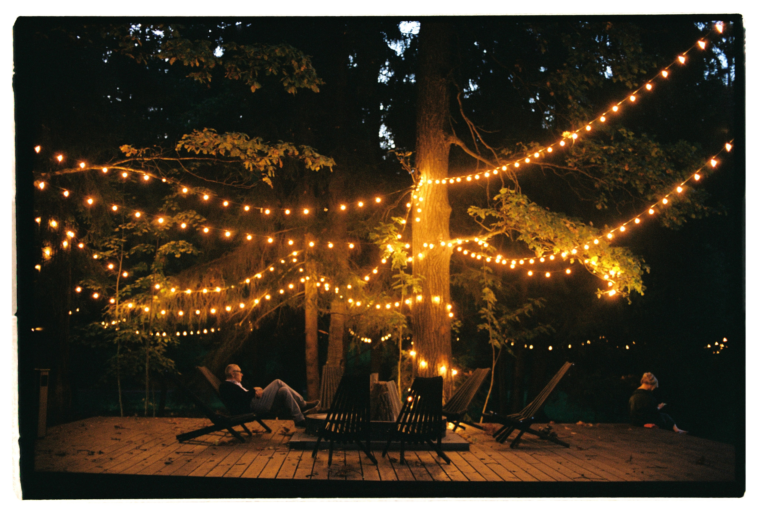 A&L FILM. Свадебный и репортажный фотограф