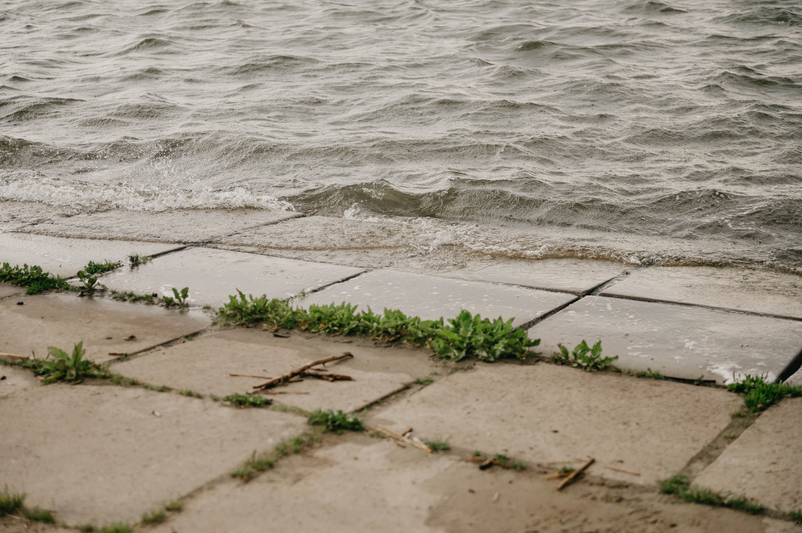 Антон и Настя. Свадебный фотограф Марина Жемчужникова в Москве и в Белгороде