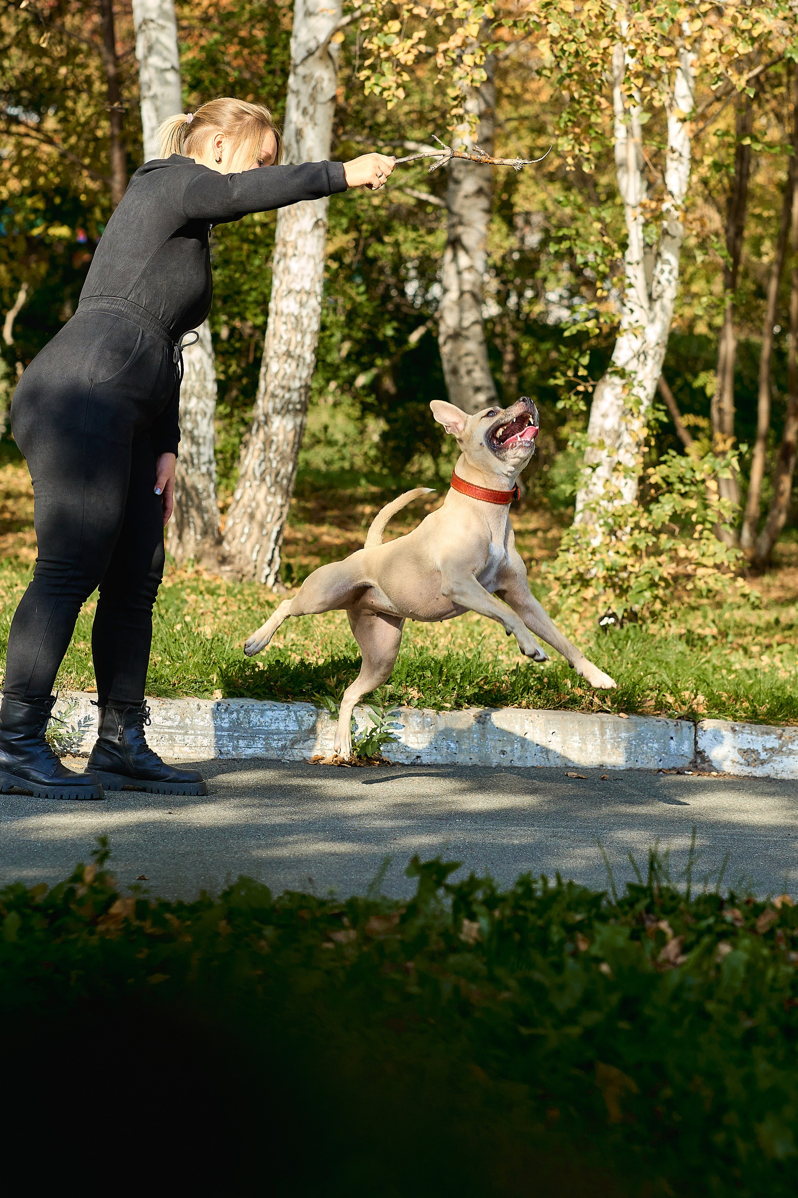 Умнейшая собака Зелла. Любовь Гальцова — свадебный, семейный, детский фотограф в городе Кемерово и Кемеровской области