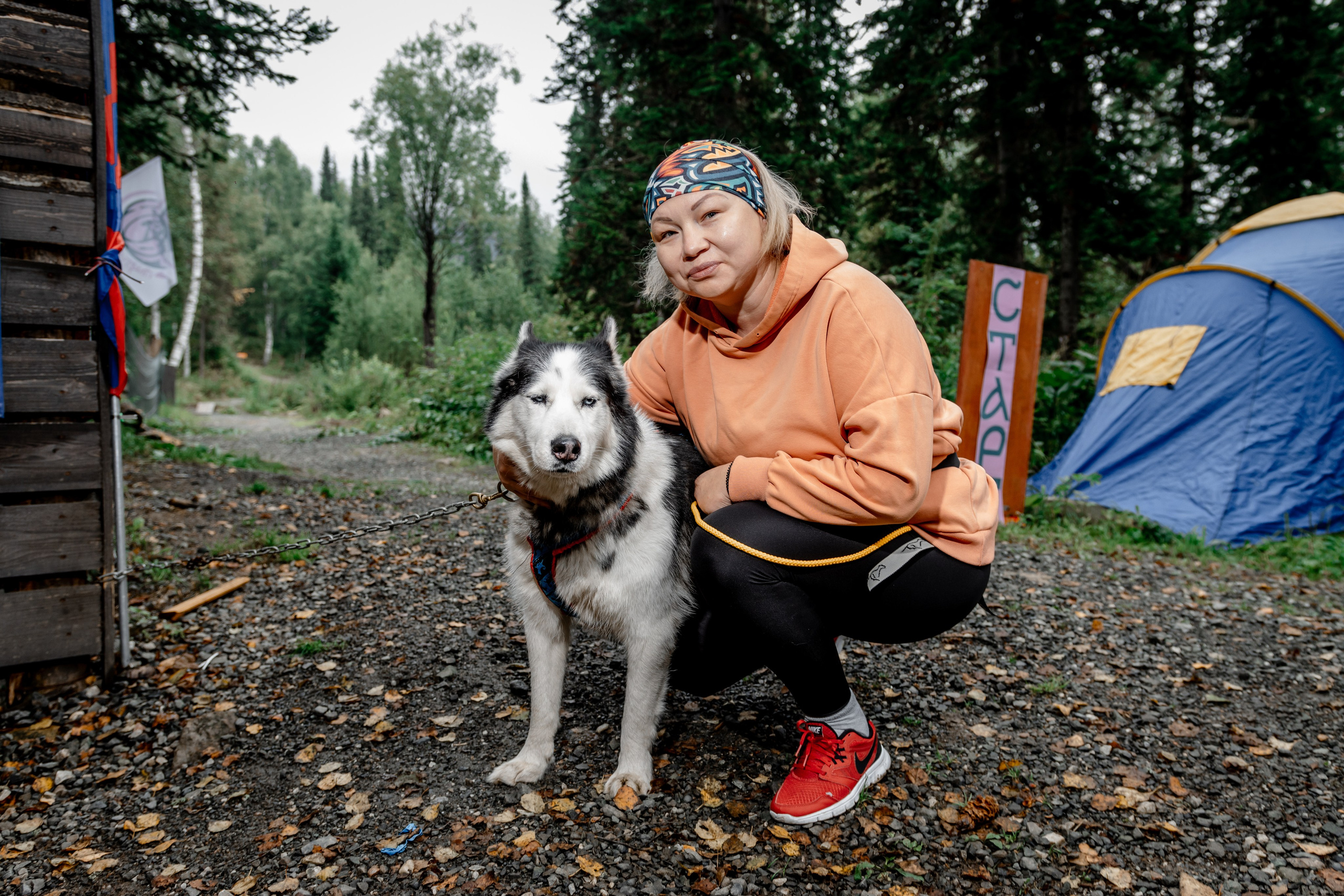 Дог-треккинг