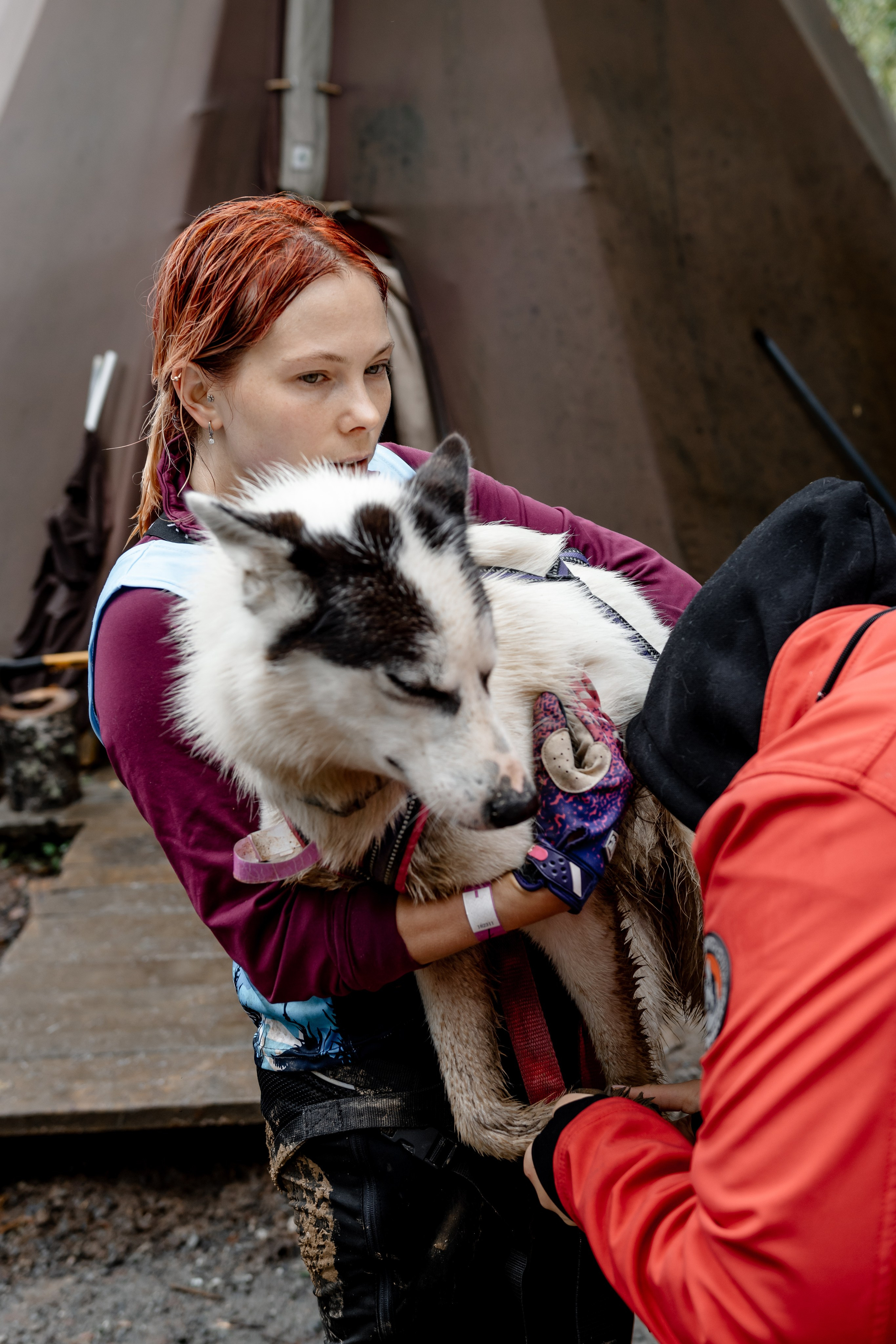 Дог-треккинг