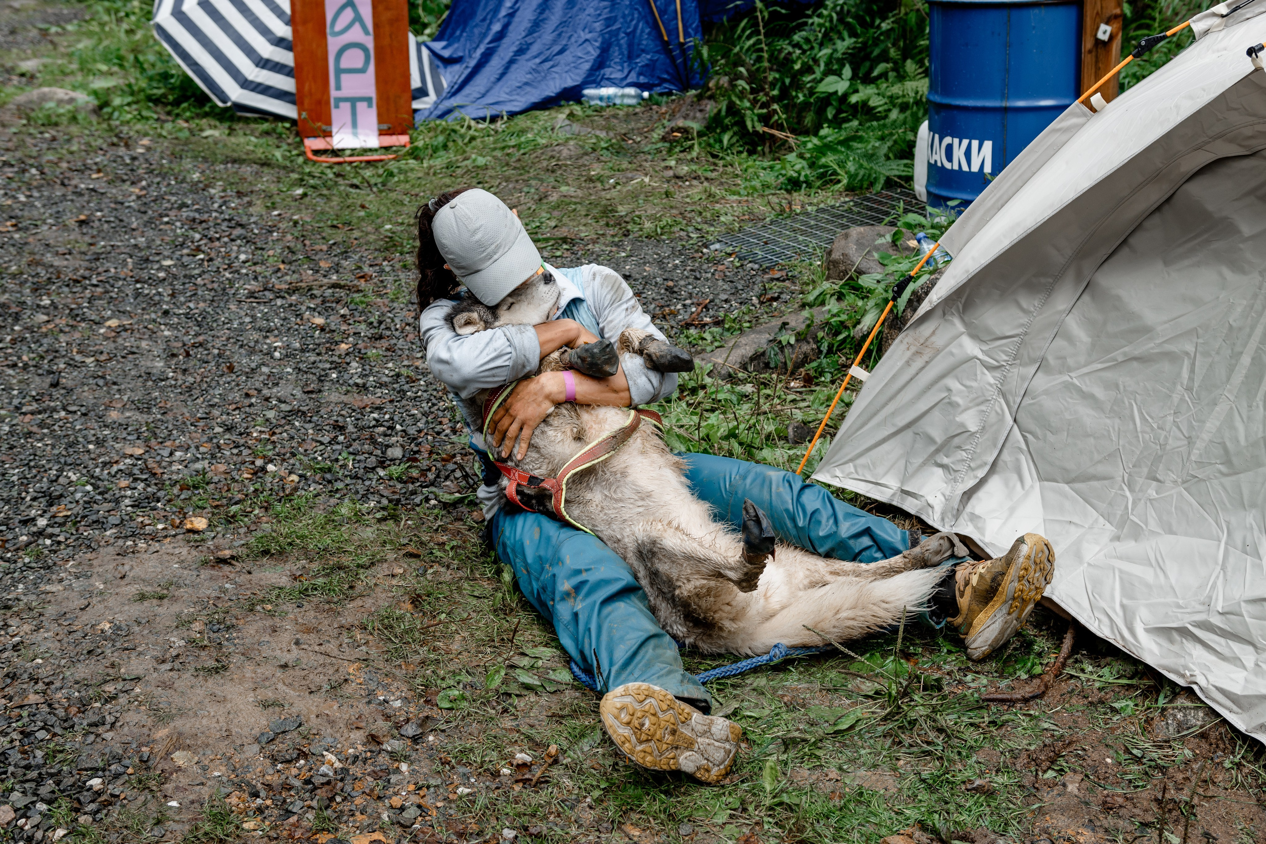 Дог-треккинг