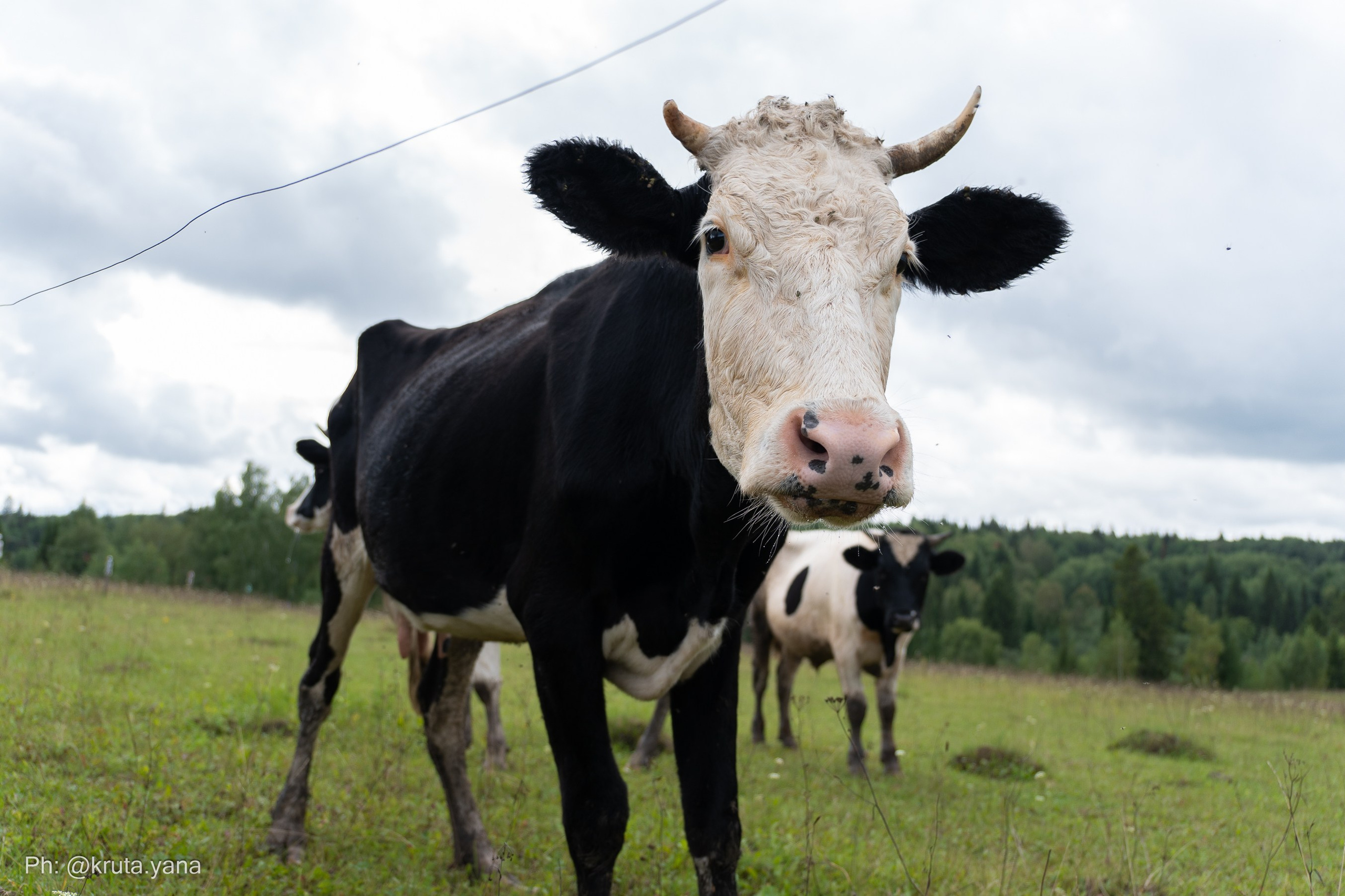 ПОСРЕДИ НИГДЕ. Фотограф в Екатеринбурге Яна Круташова