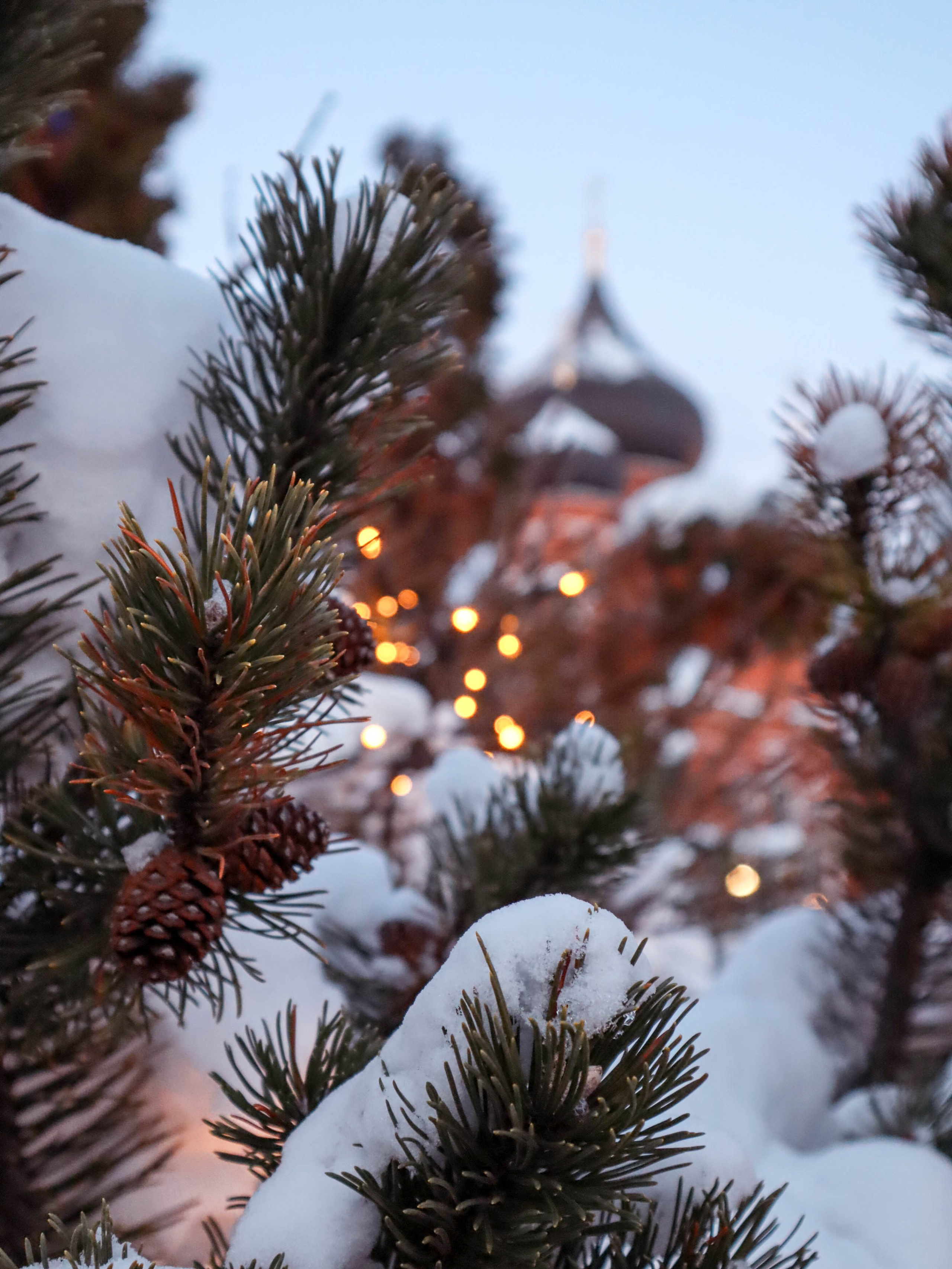 Новогодняя Тула. Фотограф Маша Корнеева