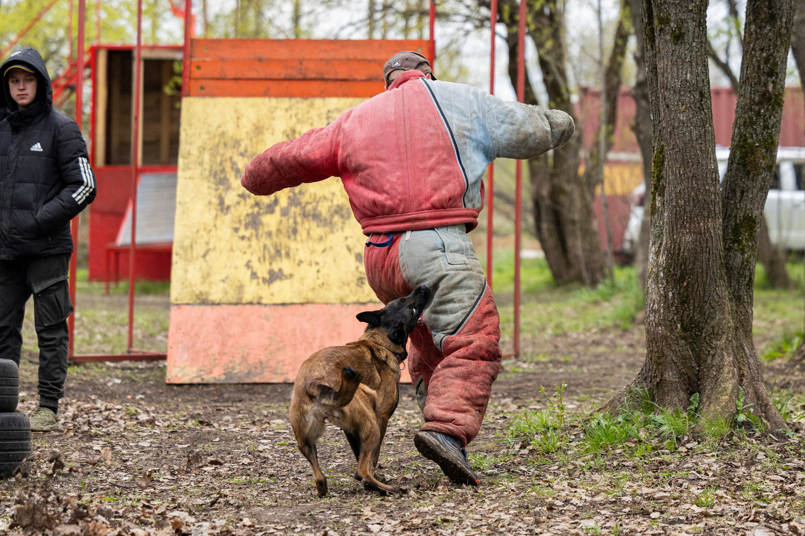 Квалификационные состязания по мондьорингу г. Вологда 11.05.24. Фотограф-анималист Анна Маринич