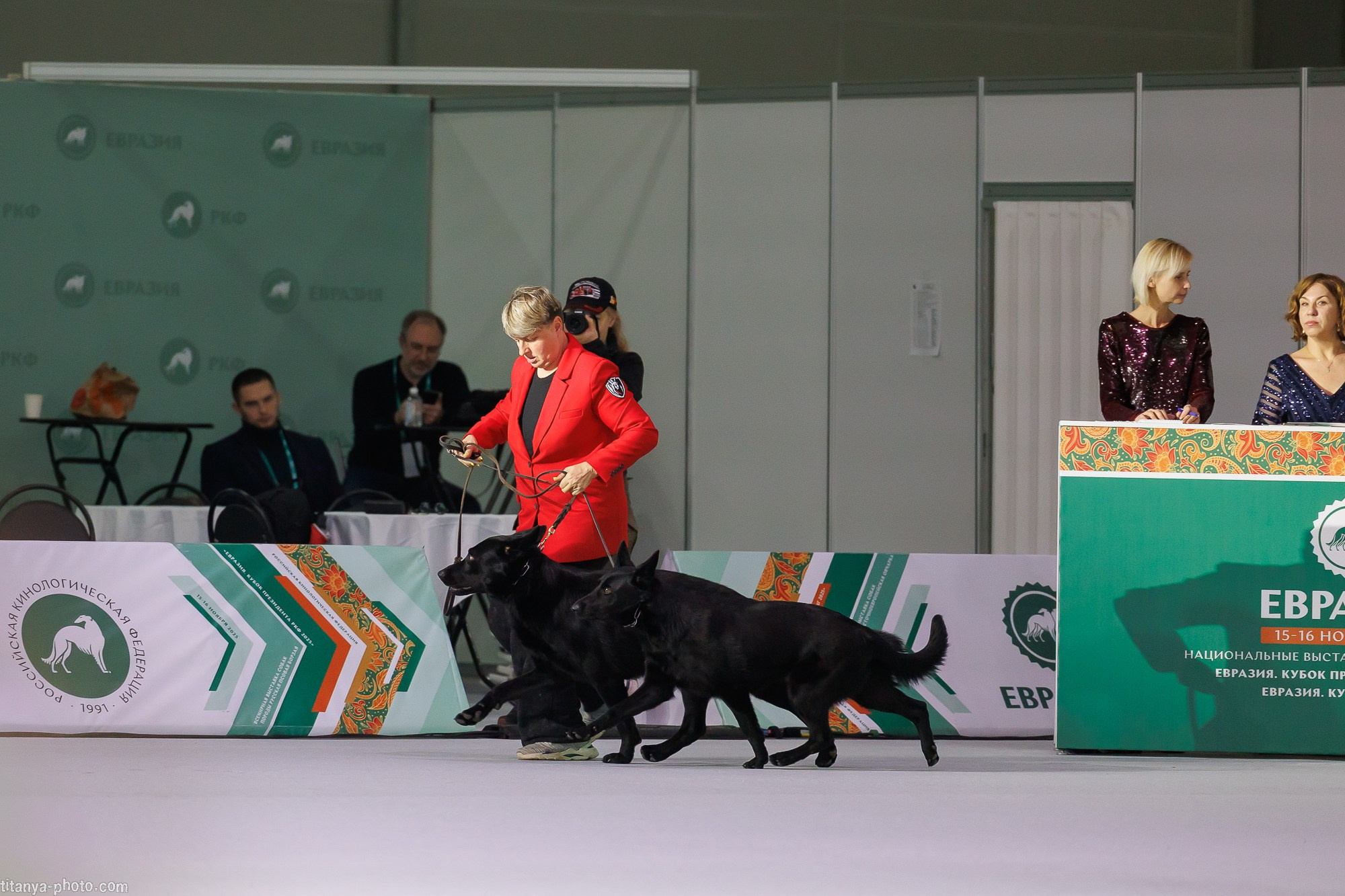 «Евразия-2025»: картинки с выставки. Фотограф собак, фотограф-анималист Аня Титова (Titanya). Москва