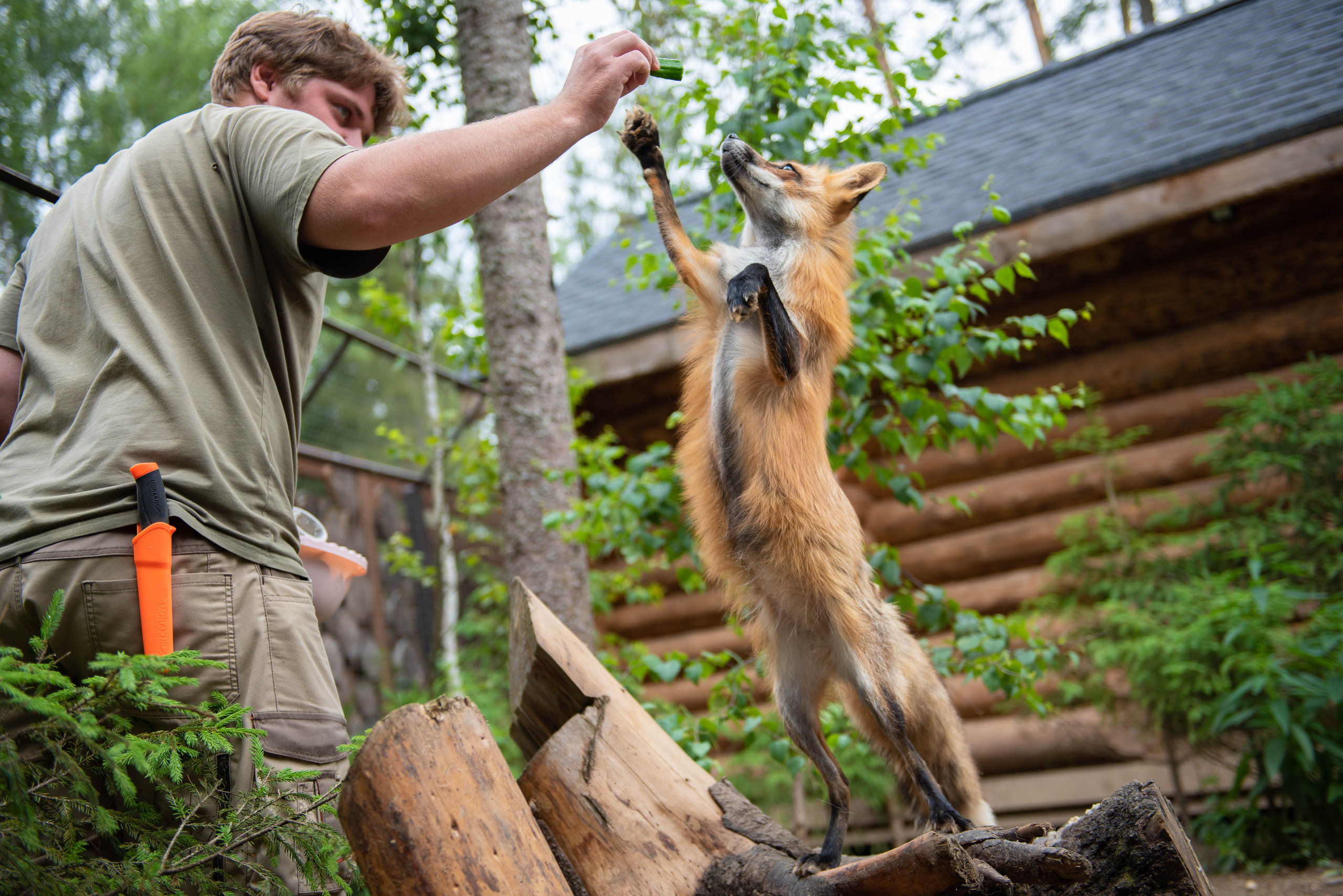 Emerald Forest by Cosmos Hotel Group. Interior & architecture photographer