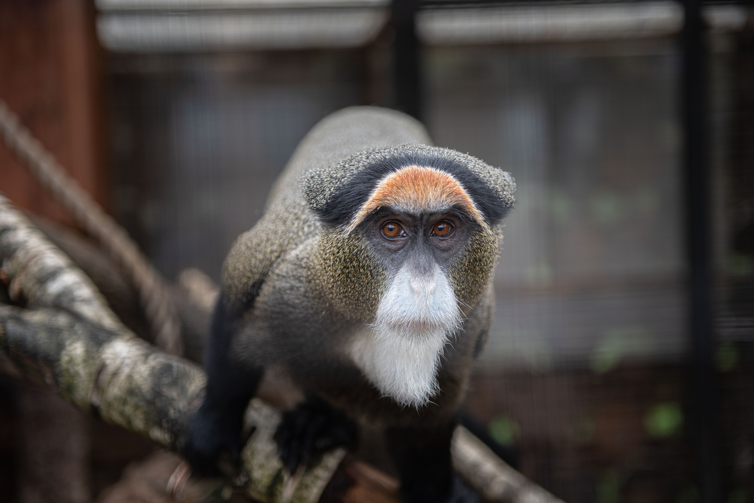 Emerald Forest by Cosmos Hotel Group. Interior & architecture photographer