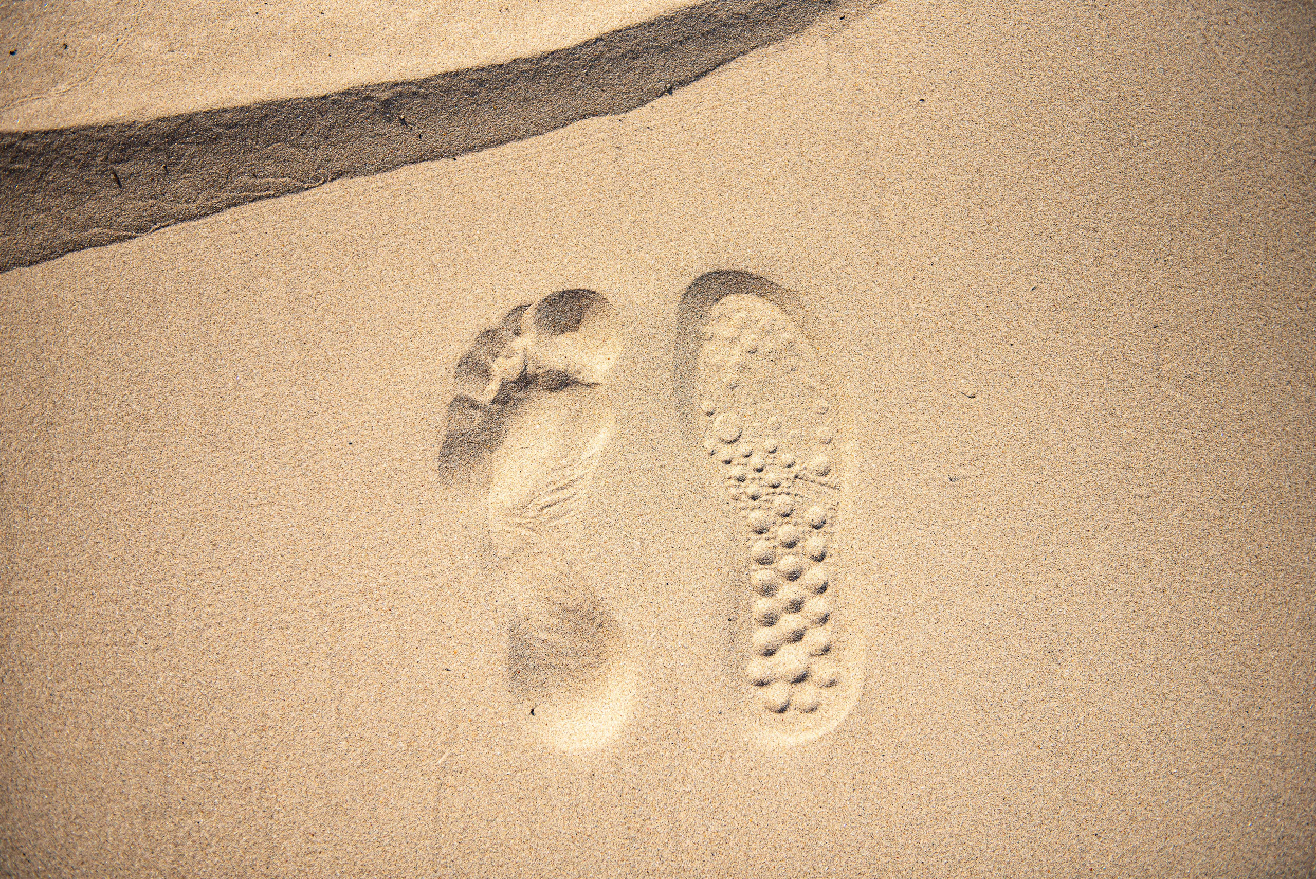 Free art. Interior & architecture photographer