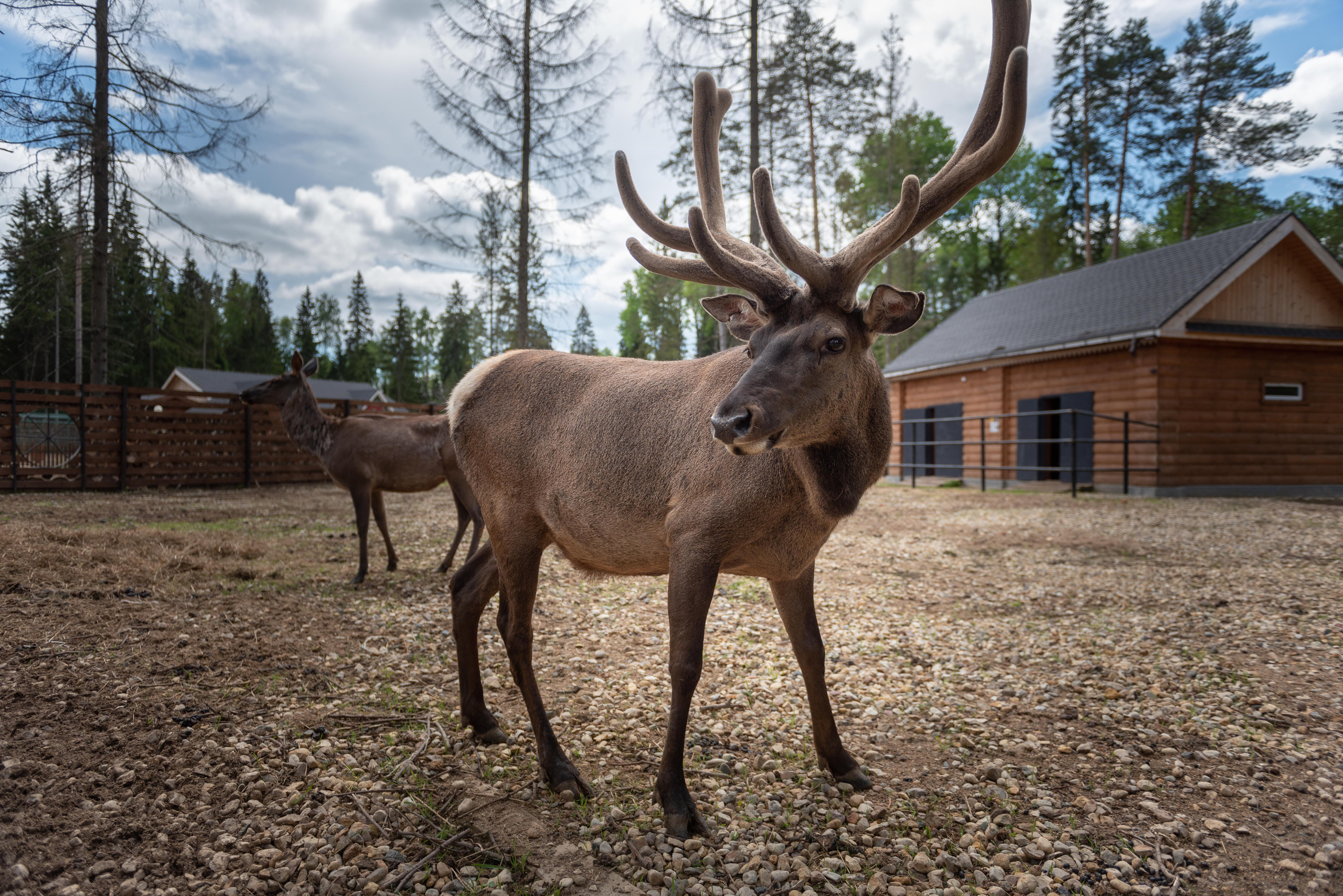 Emerald Forest by Cosmos Hotel Group. Interior & architecture photographer