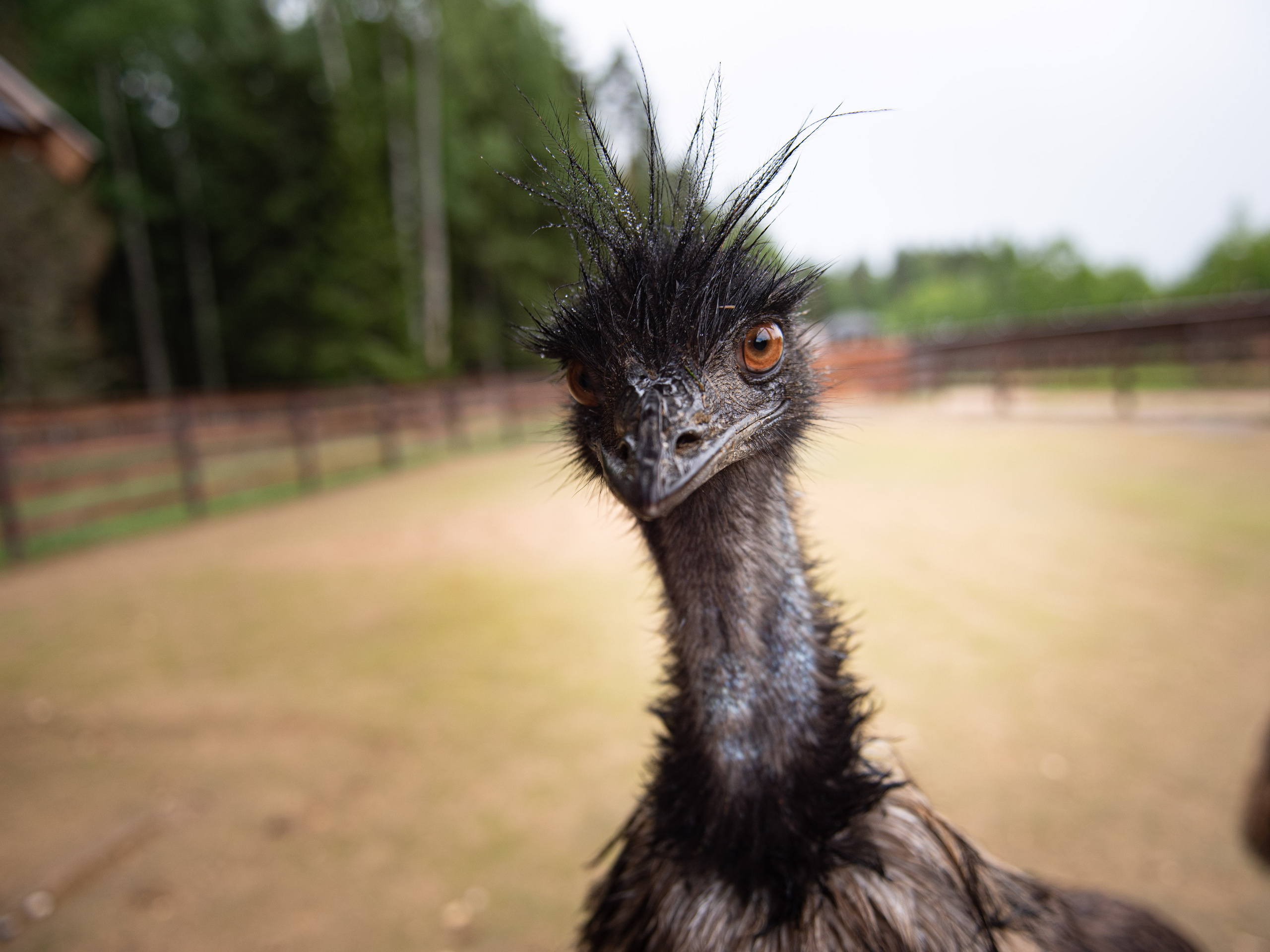 Emerald Forest by Cosmos Hotel Group. Interior & architecture photographer