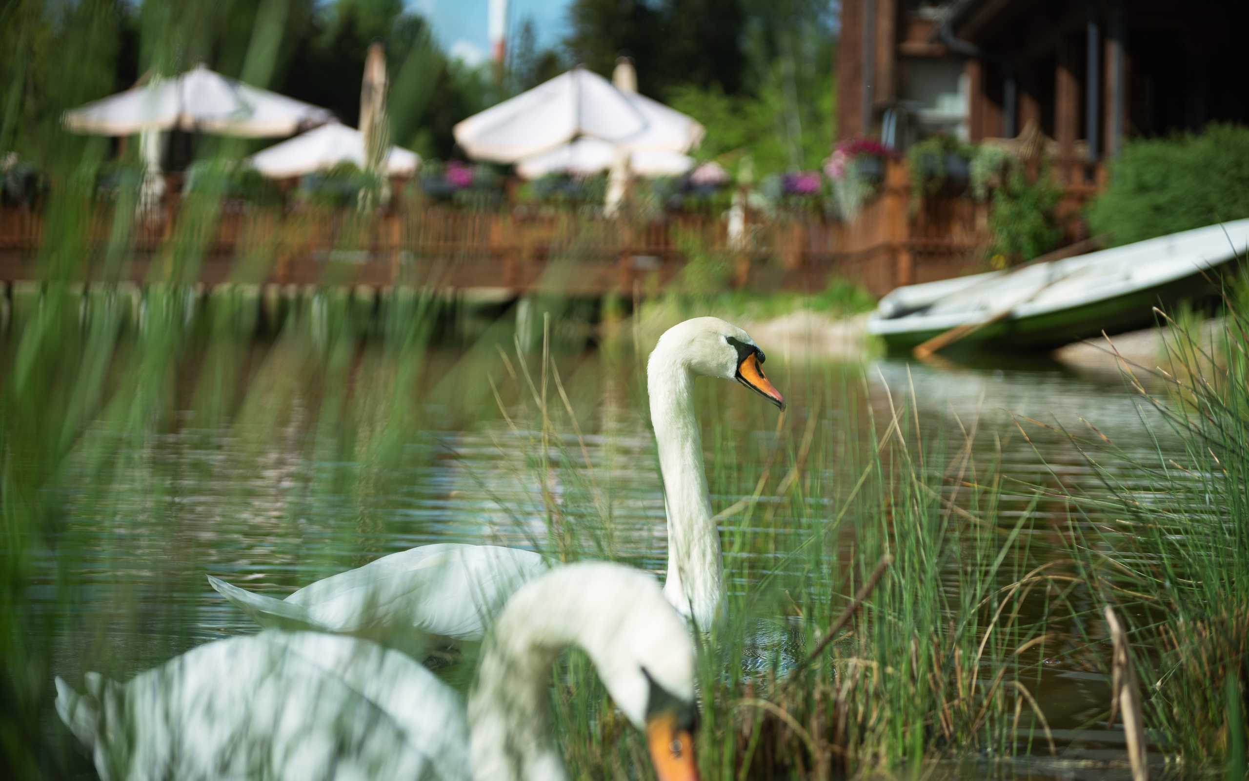 Emerald Forest by Cosmos Hotel Group. Interior & architecture photographer