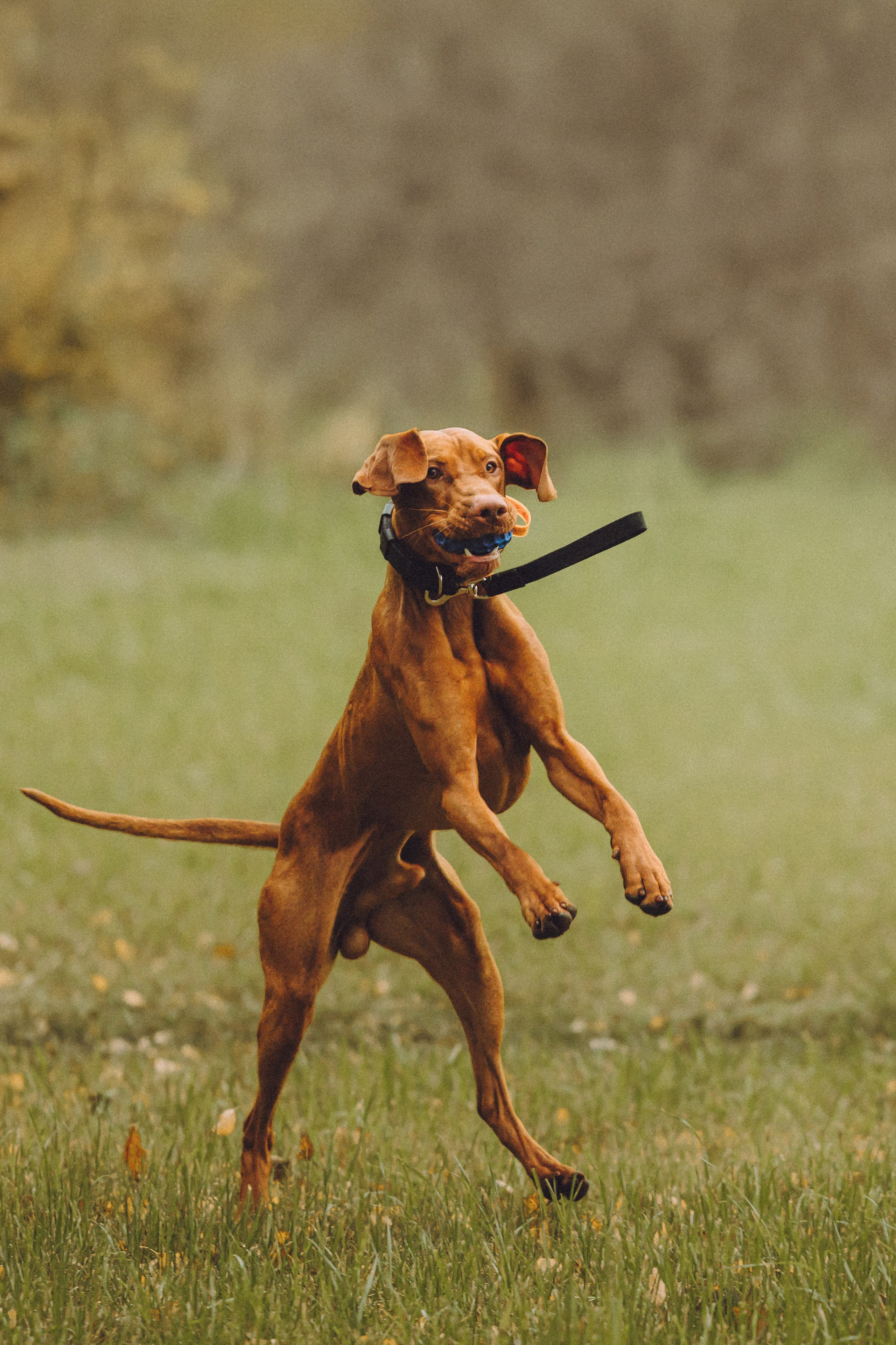 Дориан и его семья