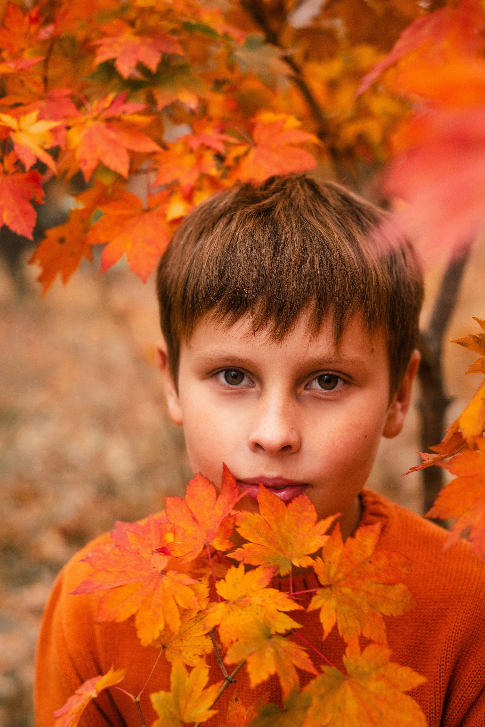 Семейная прогулка. Фотограф Ярмишко Дарья. Выпускные фотокниги