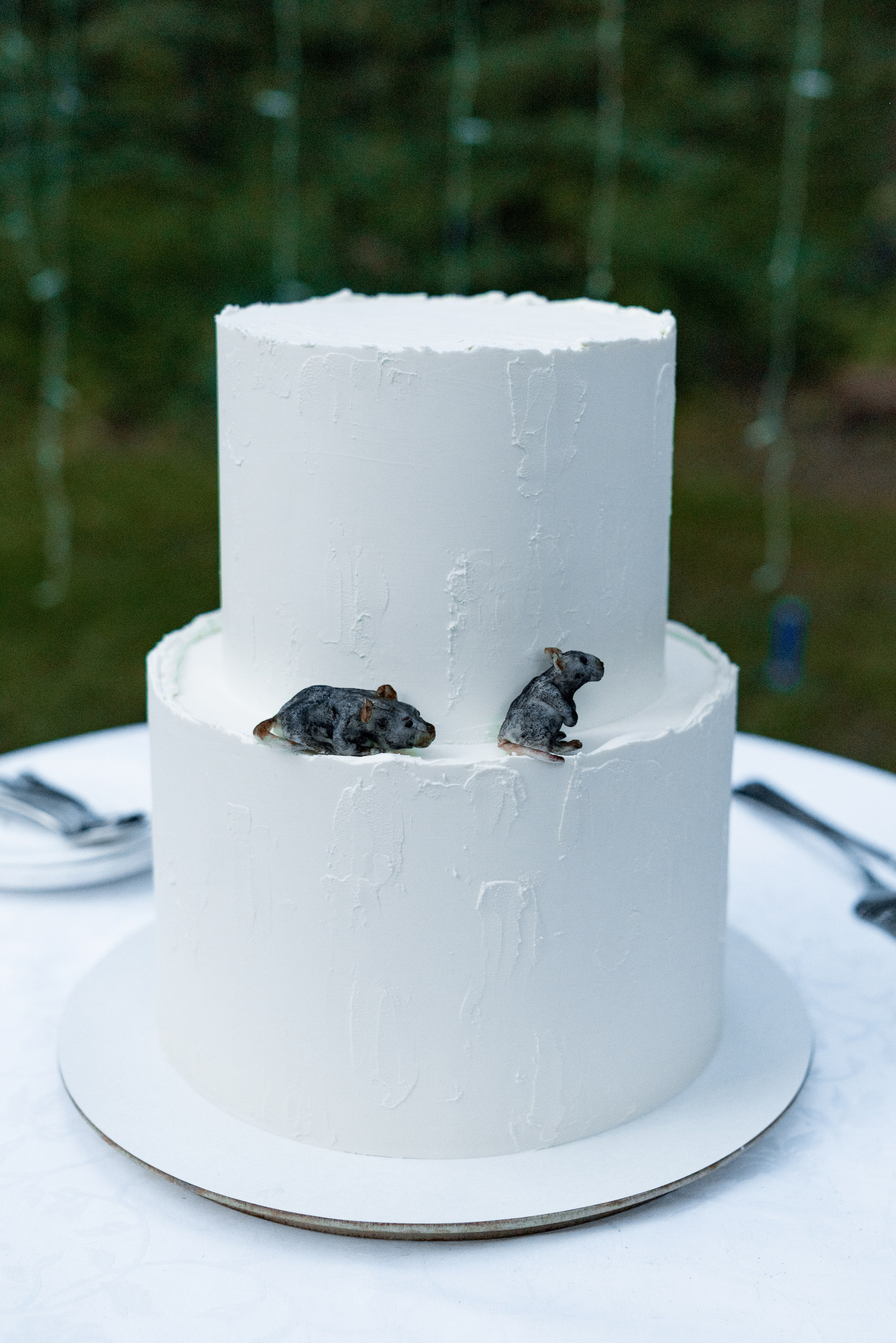 Данил и Софья. Свадьба. Семейный и свадебный фотограф в Ижевске Елена Полтанова