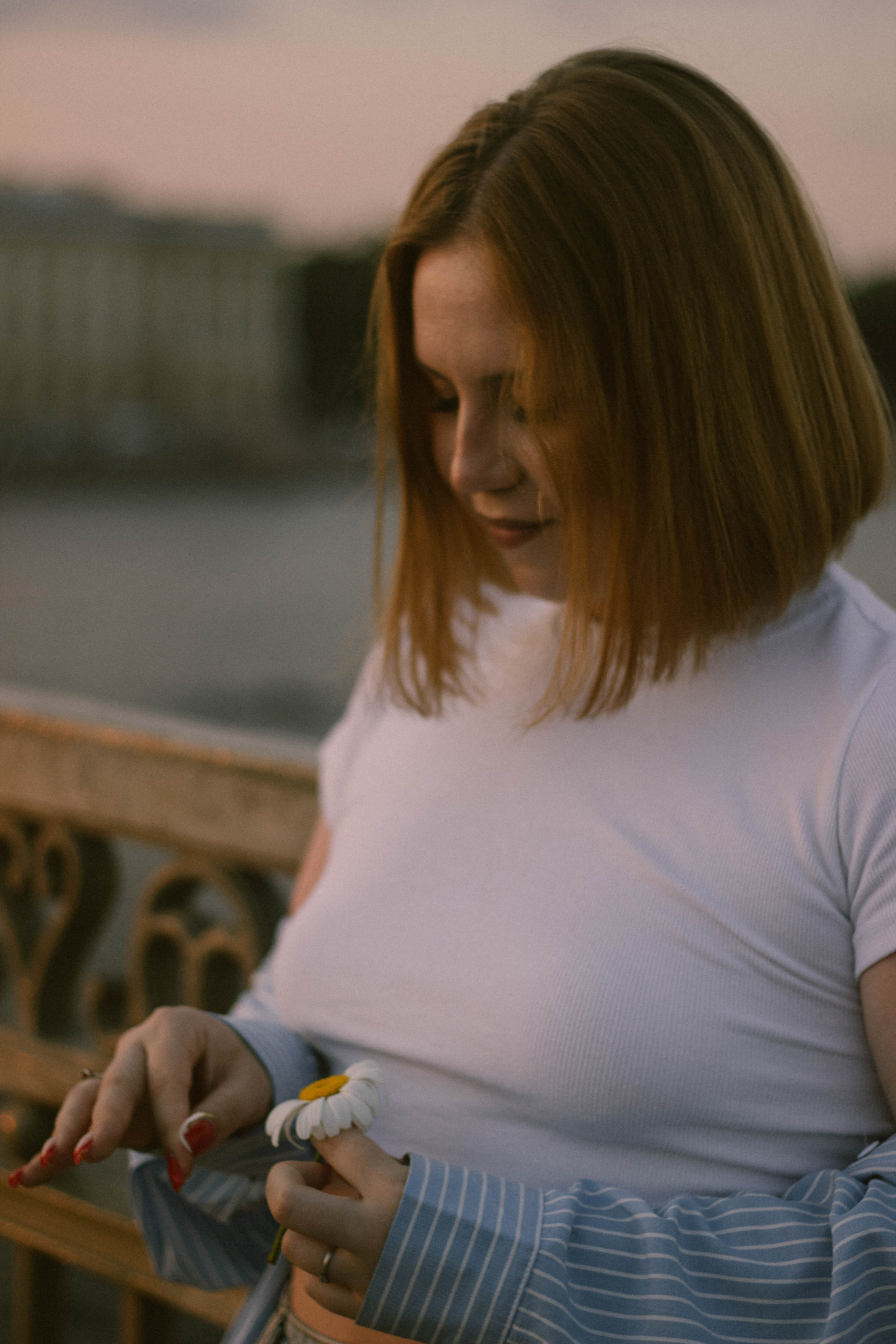 Виктория, ромашки и летний закат. Фотограф в Санкт-Петербурге Головина Анастасия