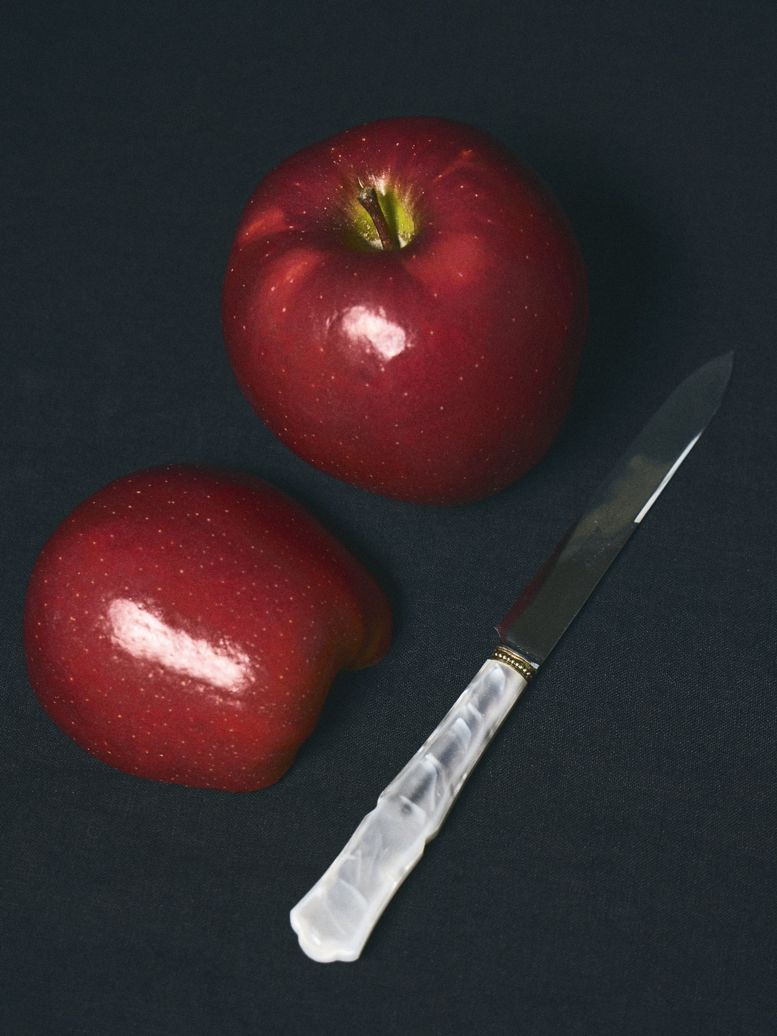 Февраль'25. NN Собака.ru. Профессиональный фотограф Федотова Арина