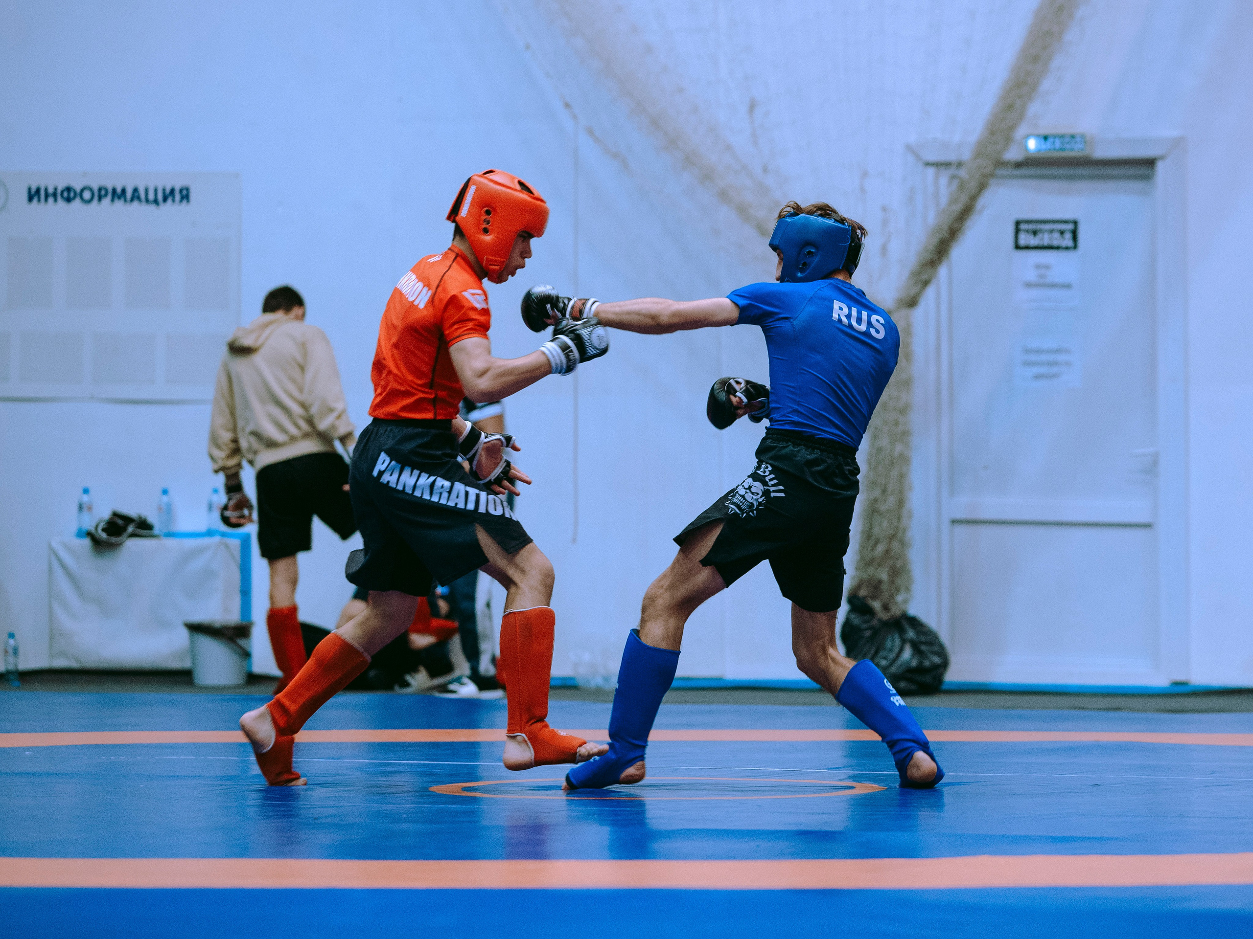 ПАНКРАТИОН | Чемпионат и первенство СФО | март `24. Портретный фотограф в Москве Дарья Цезария
