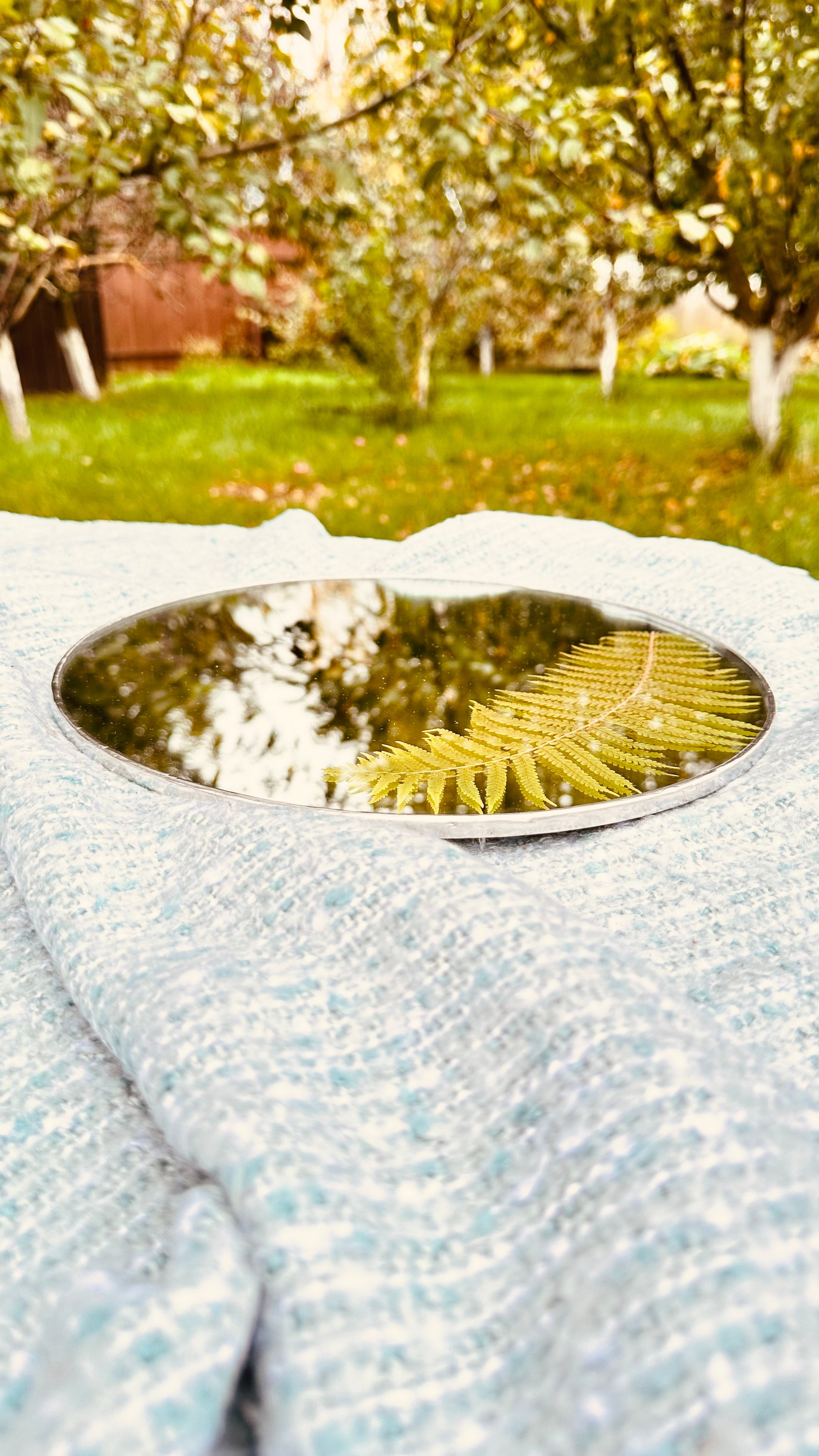 Зеркало с сухоцветами техника тиффани. Гербарий в стекле, интерьерные панно, витражи с сухоцветами в технике тиффани