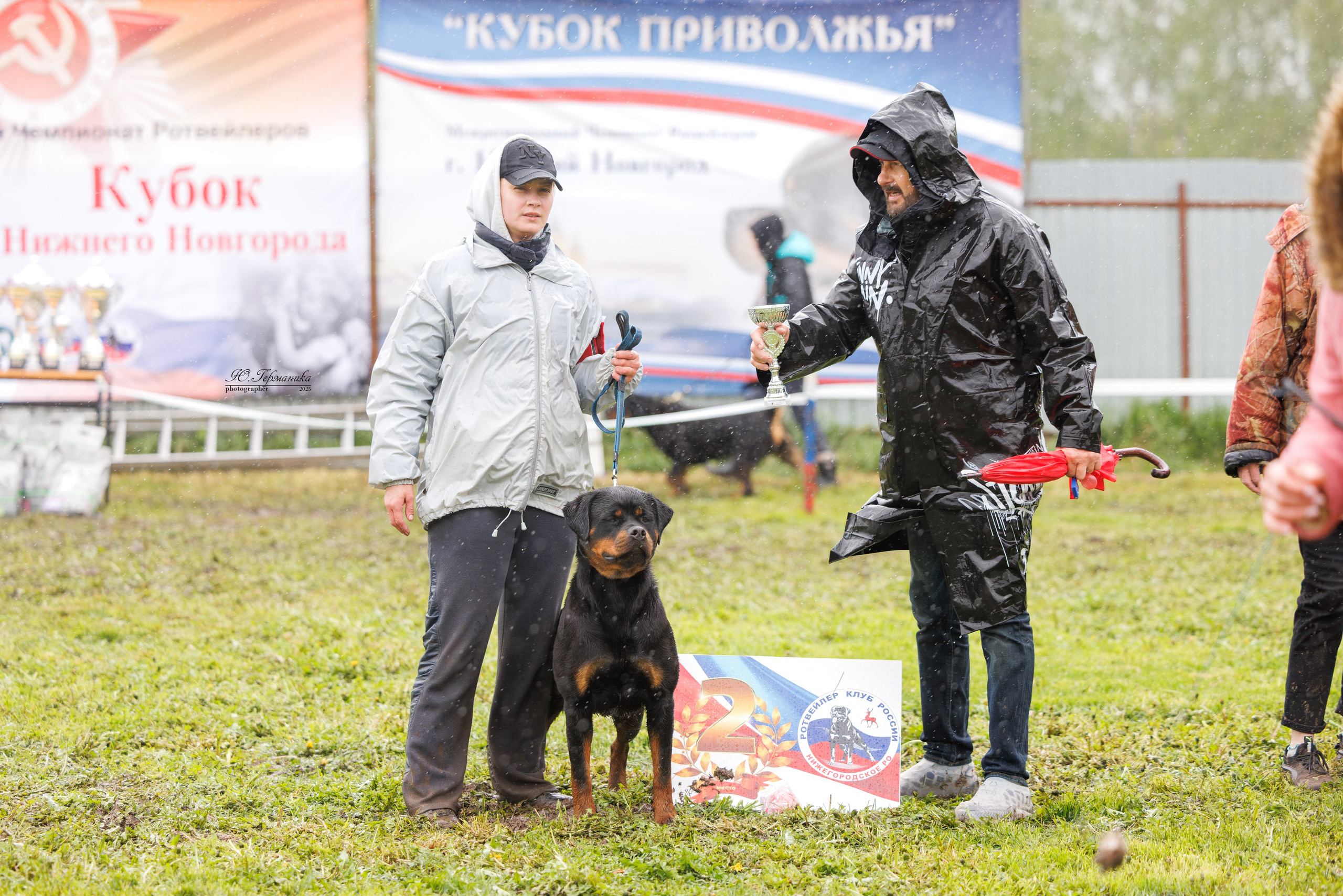 Нижний Новгород 2хмоно ротвейлеров 10-11.05.2025. Фотограф-анималист Юлия Германика
