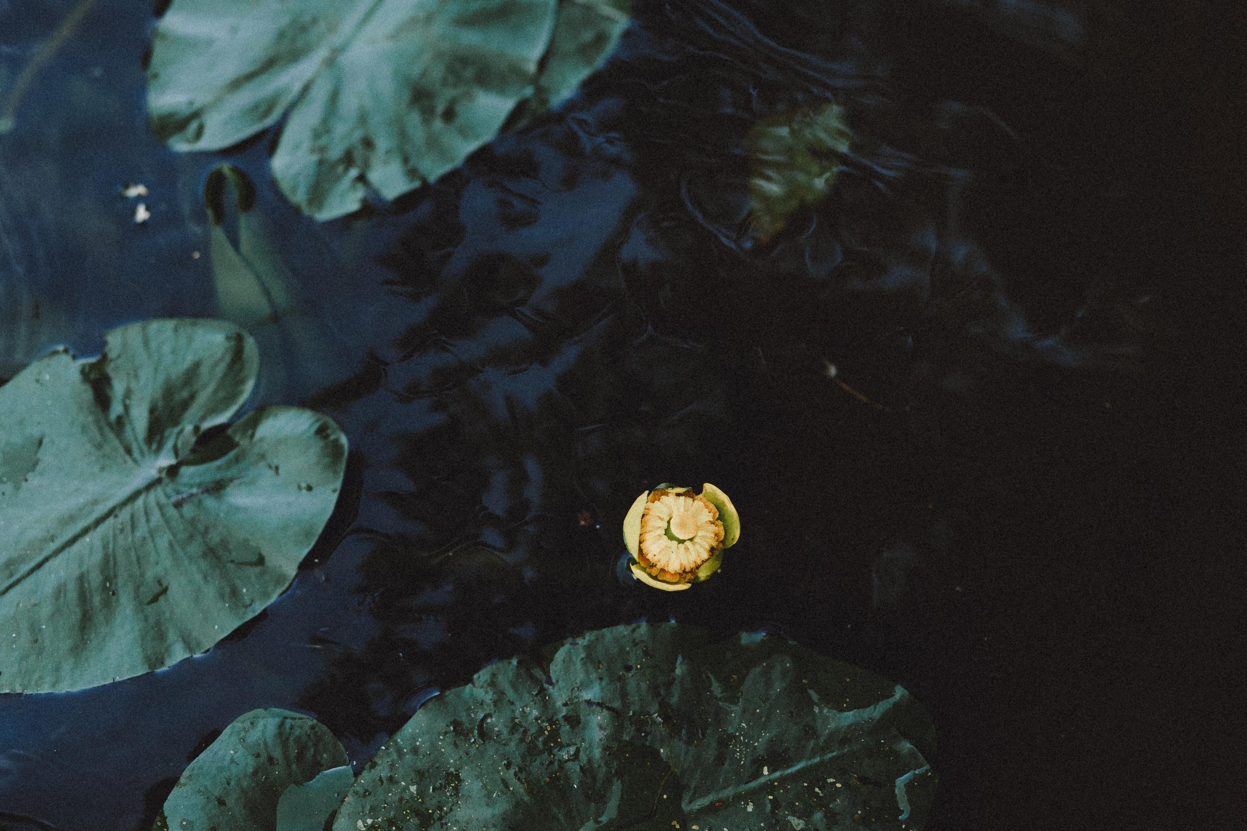 Маша и Джерри