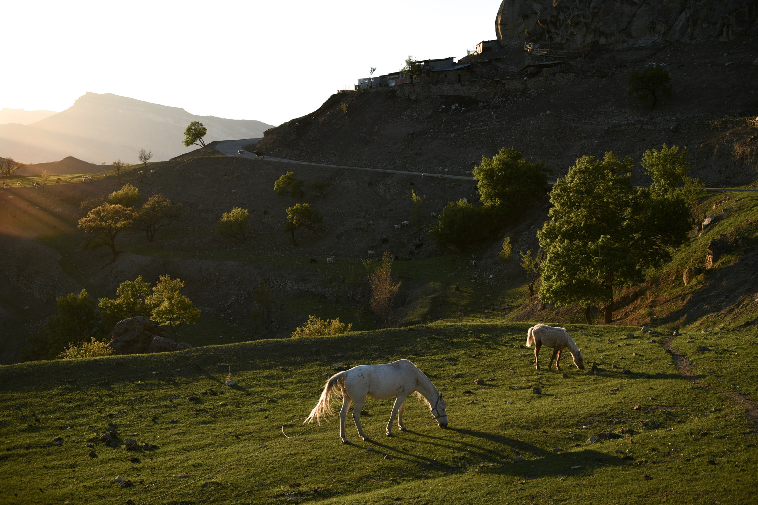 Landscapes. Anastasia Serdyuk, travel photographer, travel photo, portraits, stories, fineart prints