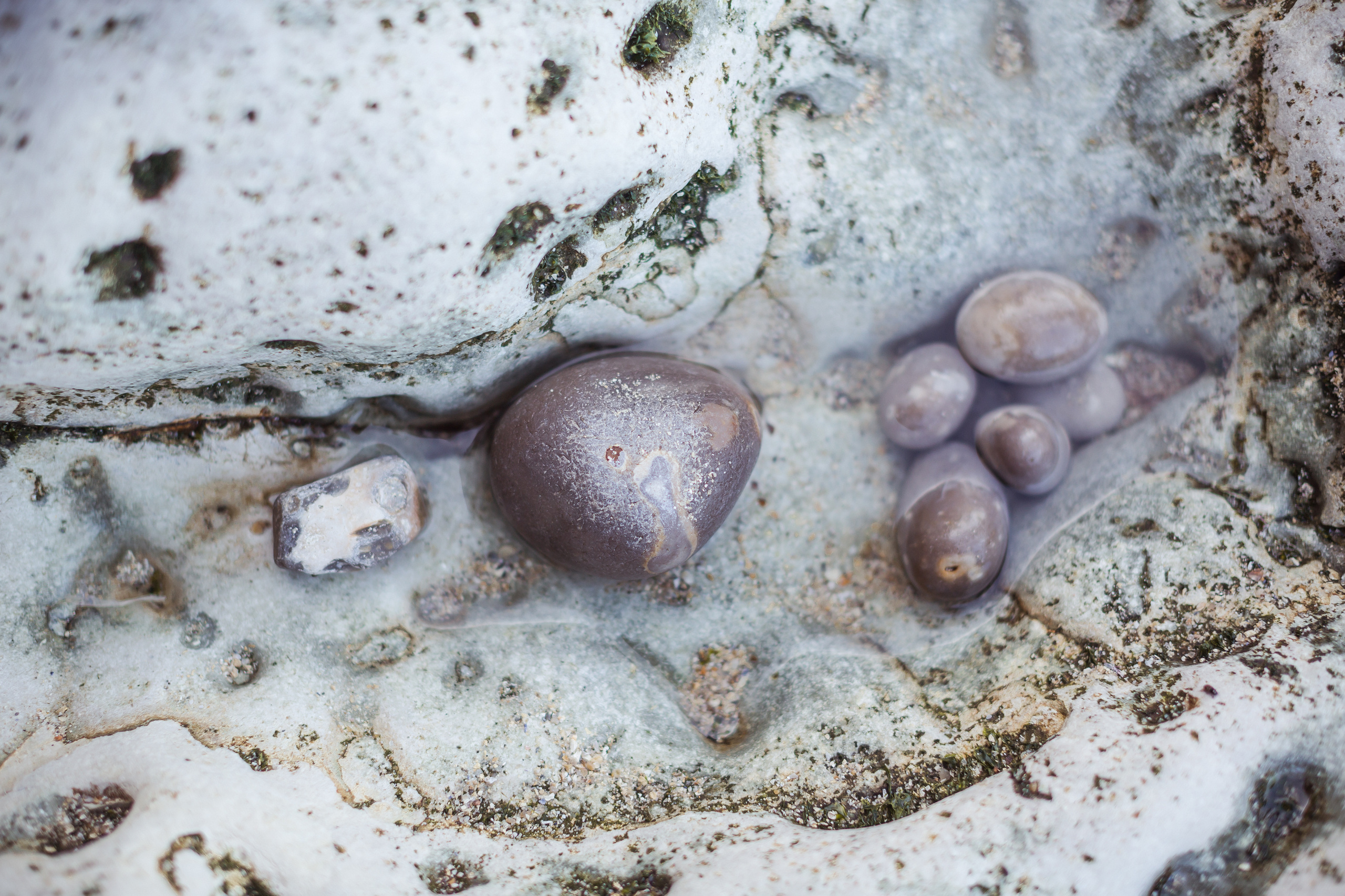 Жанна & Егор. Destination wedding photographer Mary Korenchuk