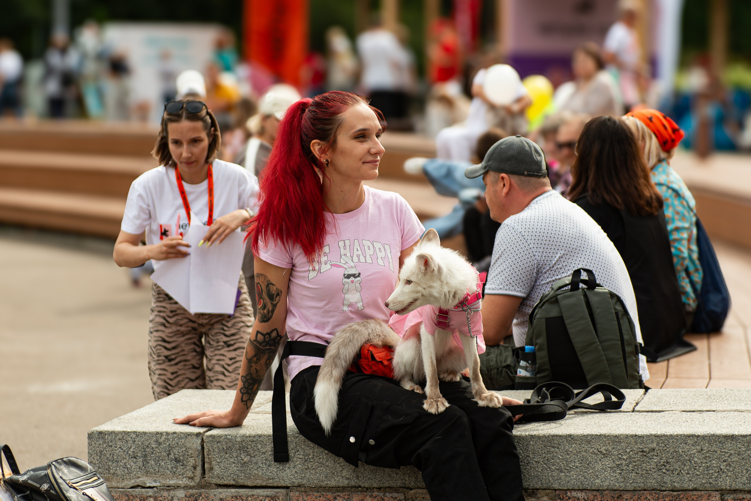 Репортажная съёмка фестиваля 4 лапы. Репортажный и персональный фотограф в Москве