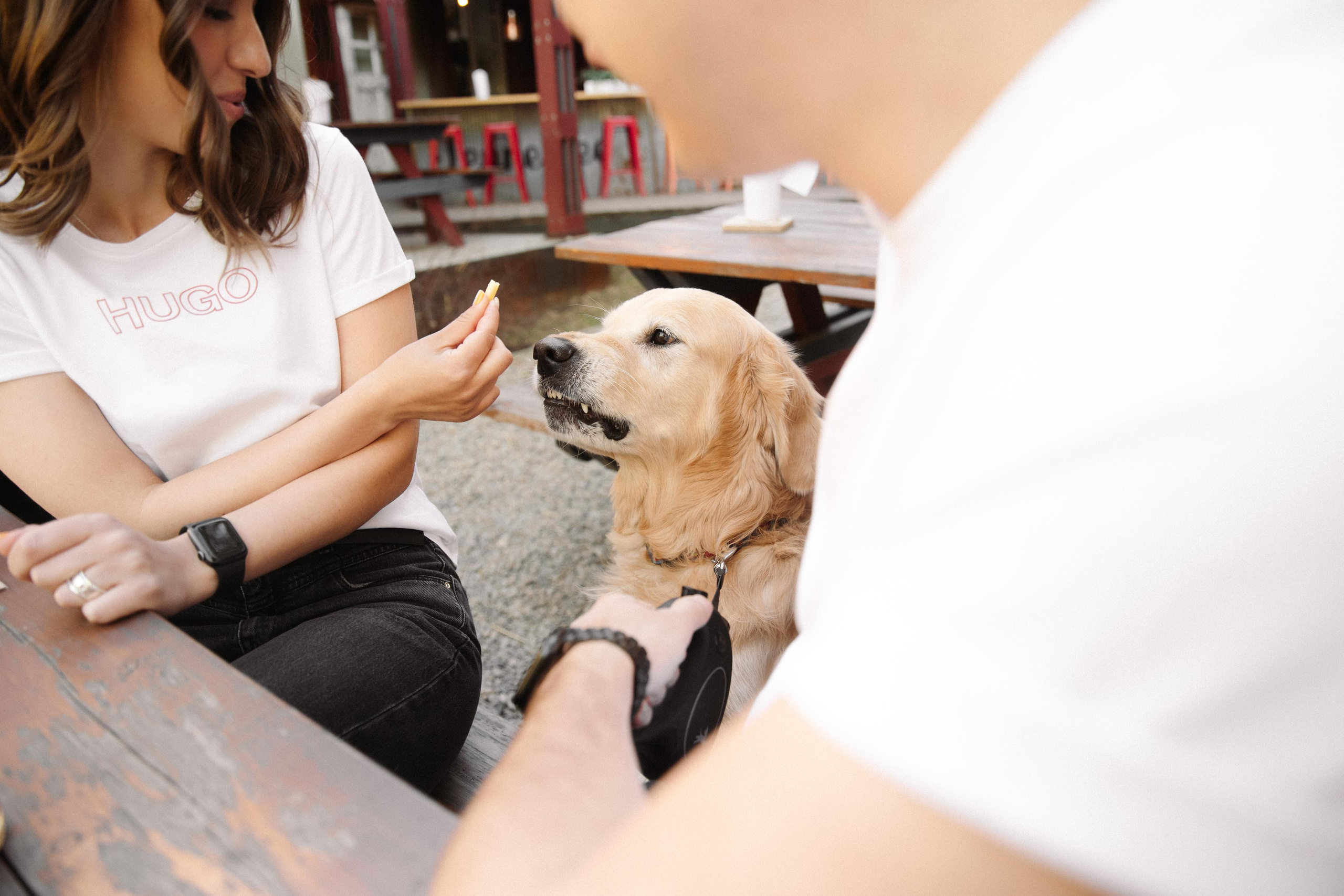 A&L love story. Фотограф в Новосибирске и Москве