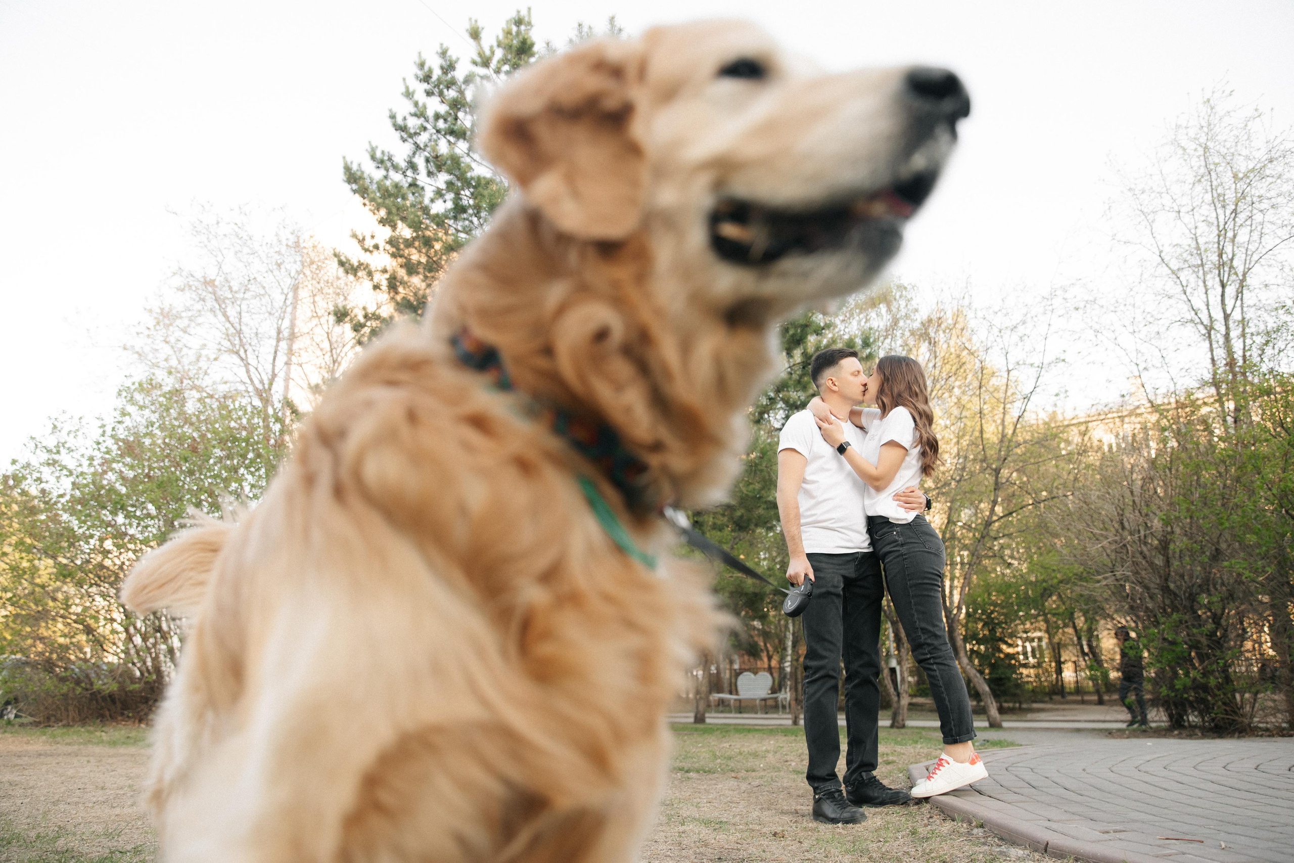 A&L love story. Фотограф в Новосибирске и Москве