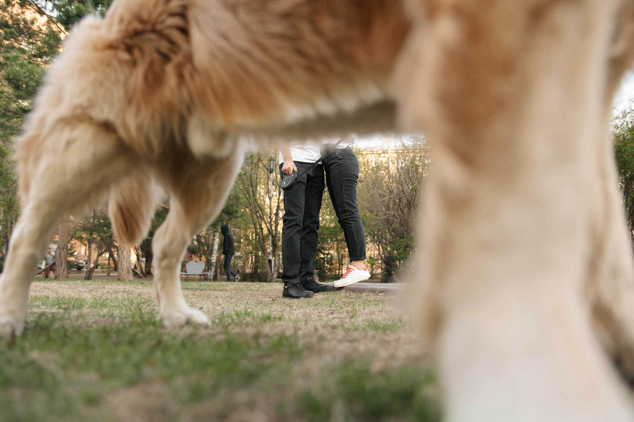 A&L love story. Фотограф в Новосибирске и Москве