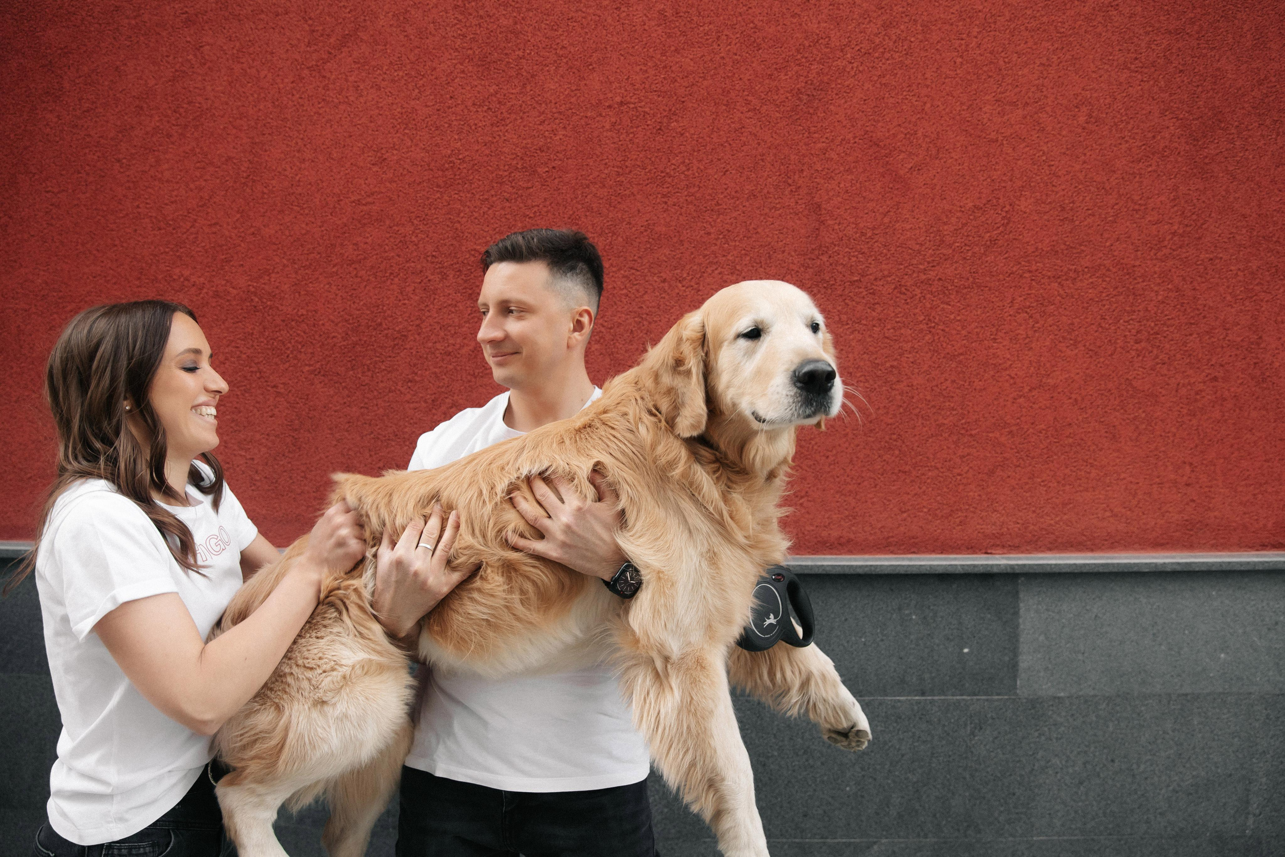 A&L love story. Фотограф в Новосибирске и Москве