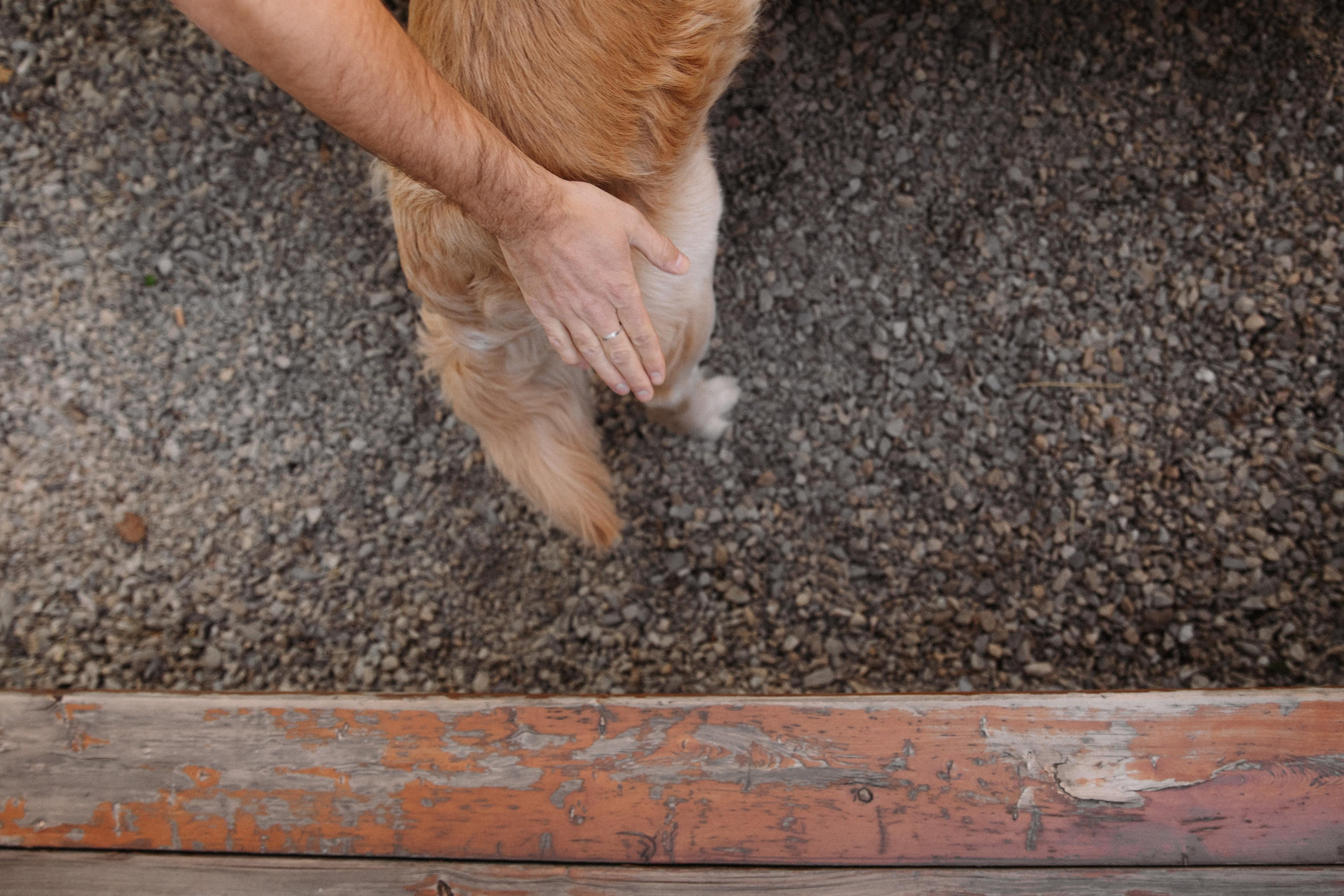 A&L love story. Фотограф в Новосибирске и Москве