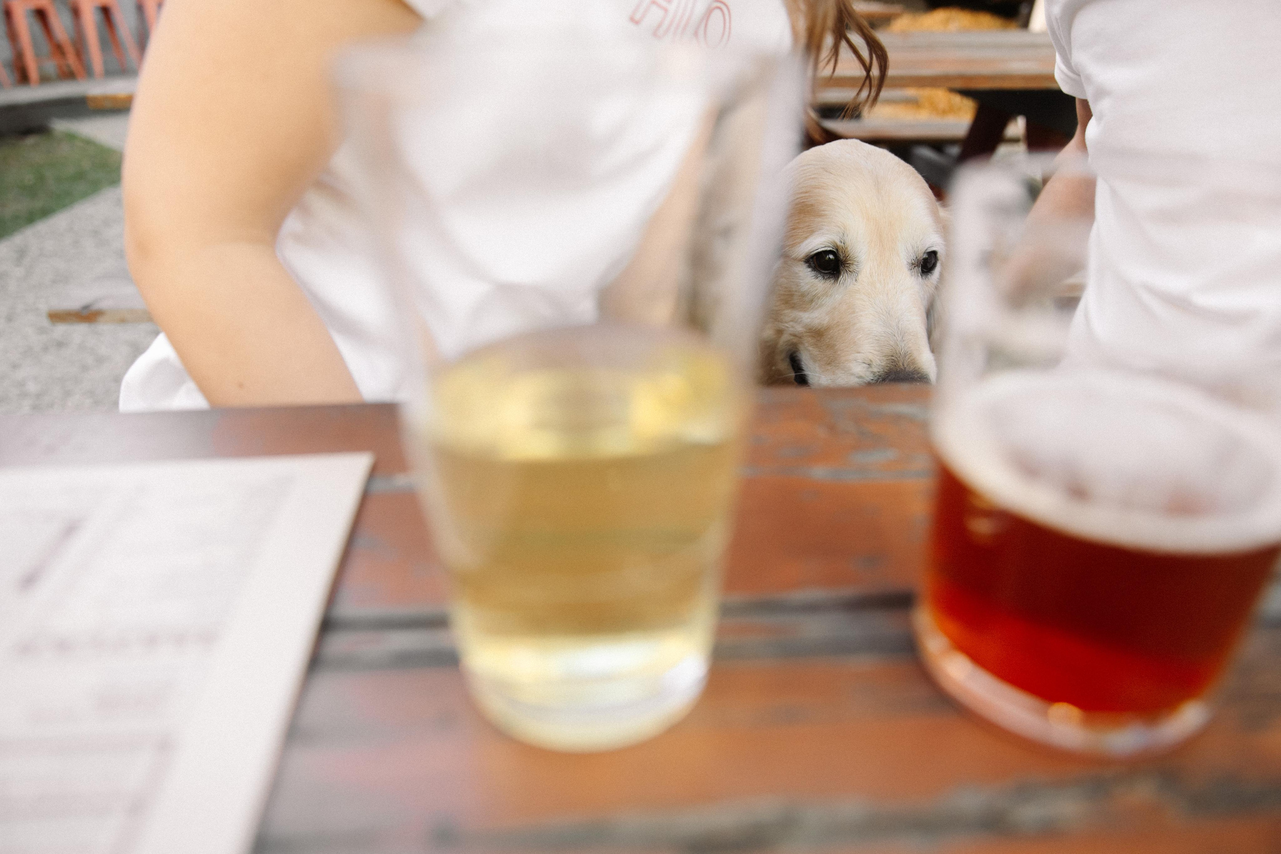 A&L love story. Фотограф в Новосибирске и Москве