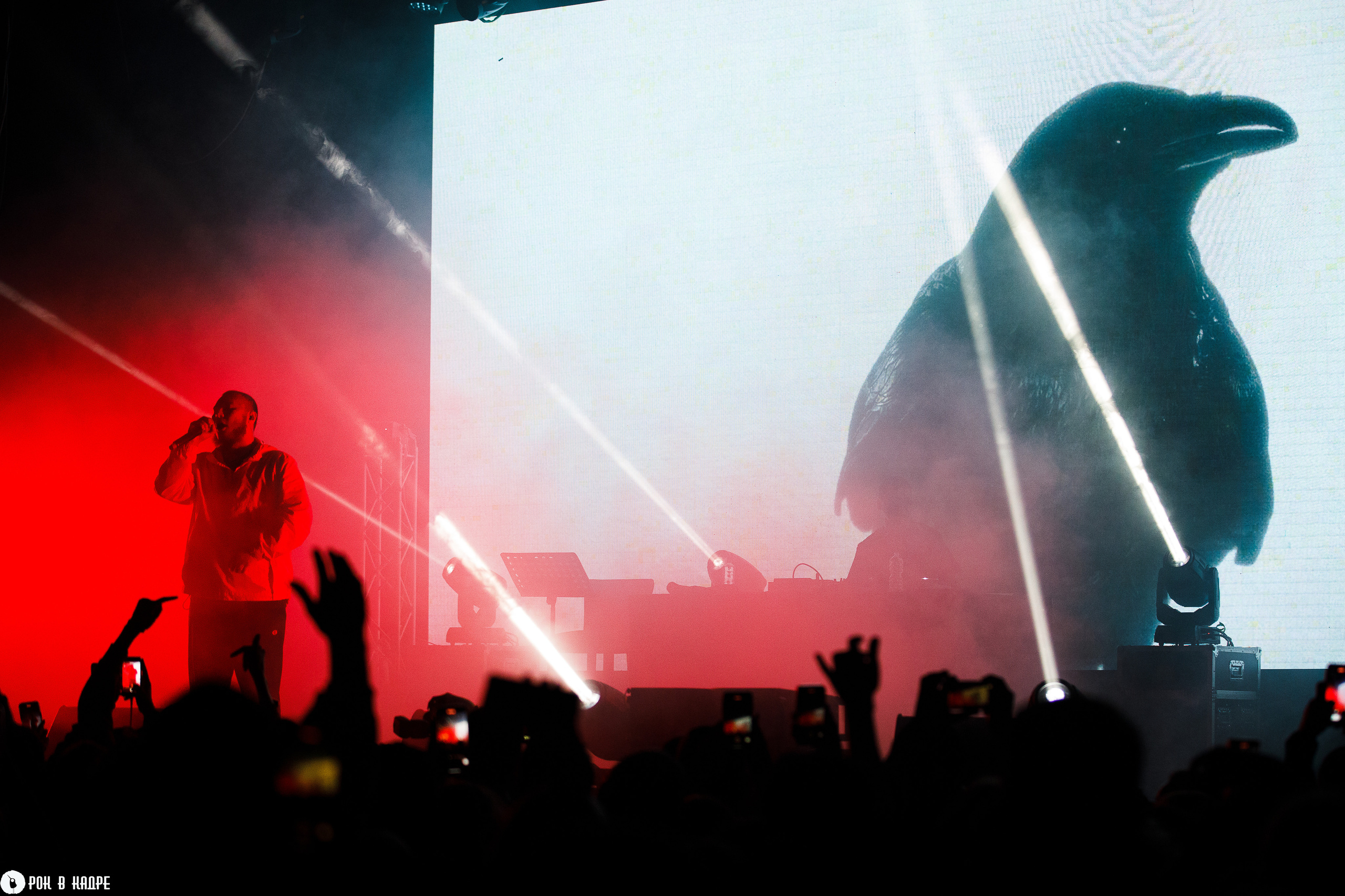 Масло черного тмина / 13.10.2023 / Base. Репортажный и портретный фотограф Русакова Жанна