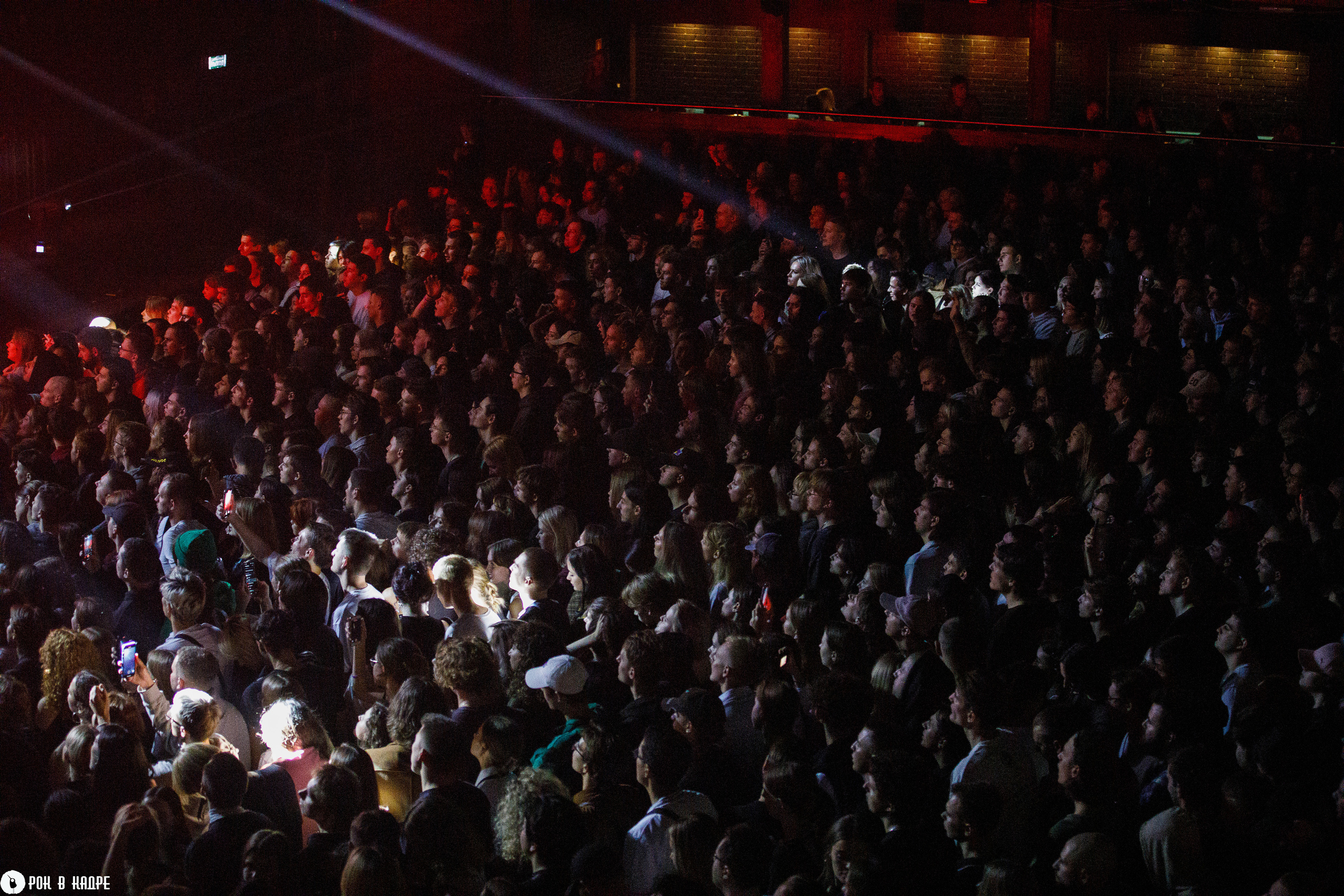 Масло черного тмина / 13.10.2023 / Base. Репортажный и портретный фотограф Русакова Жанна