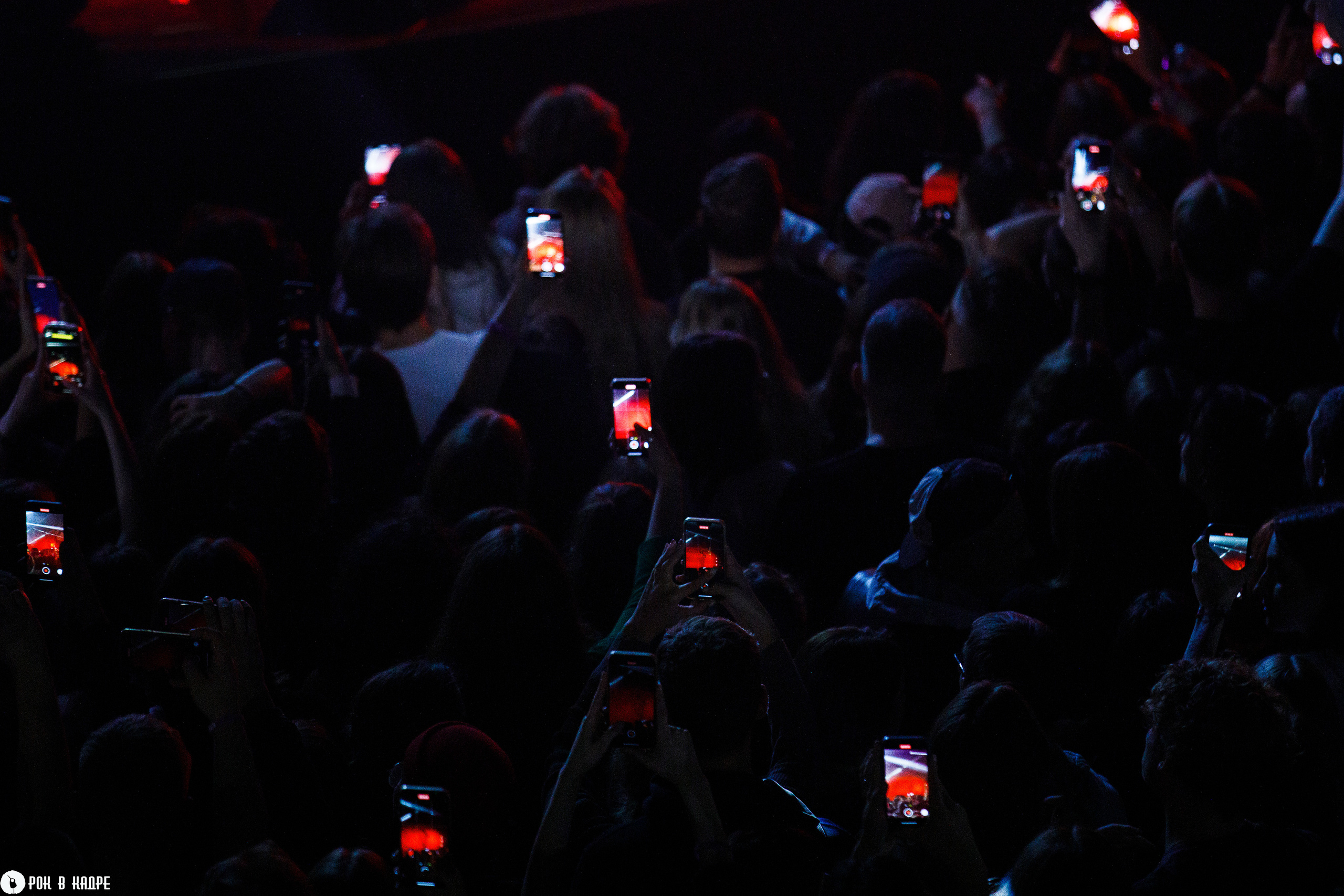 Масло черного тмина / 13.10.2023 / Base. Репортажный и портретный фотограф Русакова Жанна