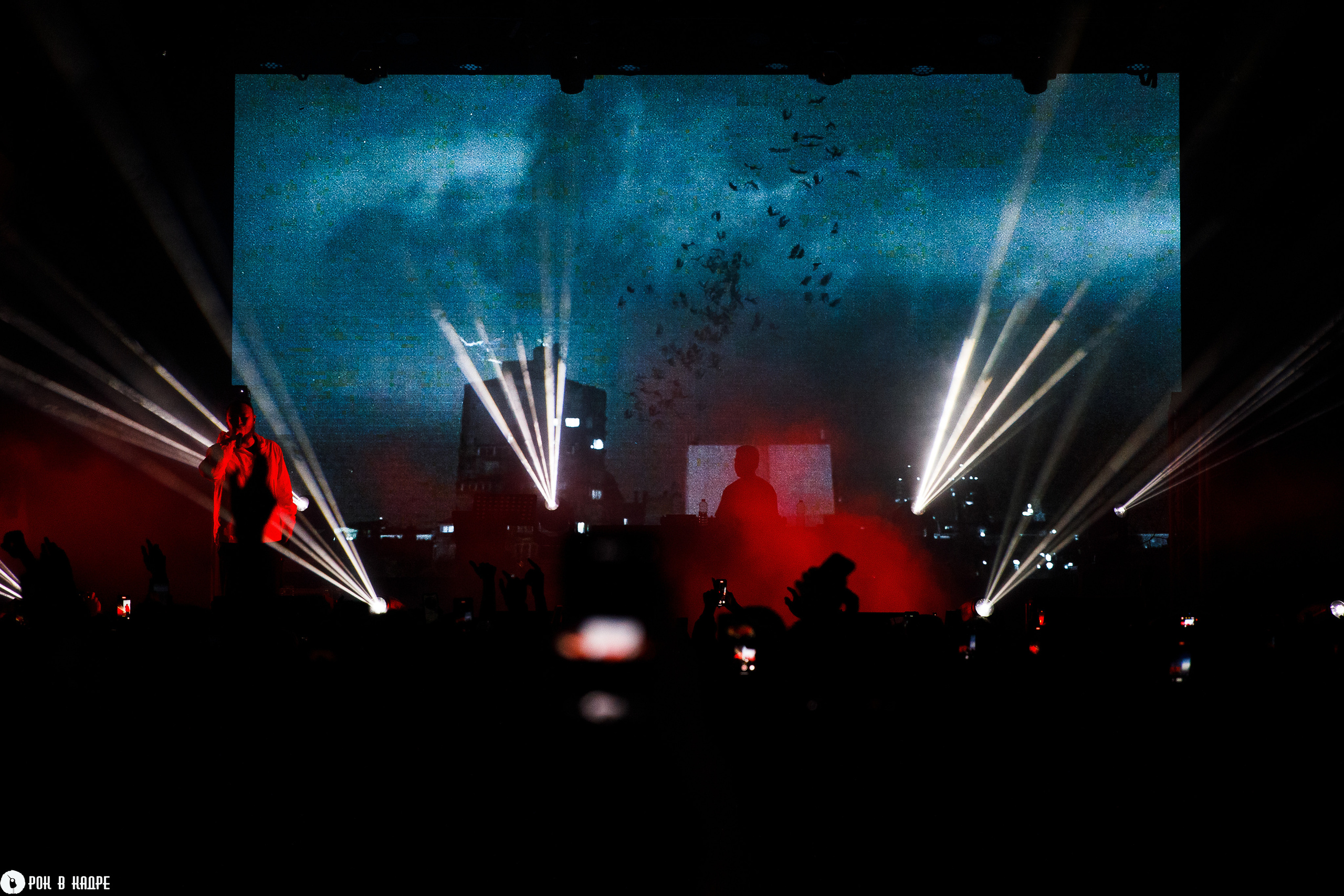 Масло черного тмина / 13.10.2023 / Base. Репортажный и портретный фотограф Русакова Жанна