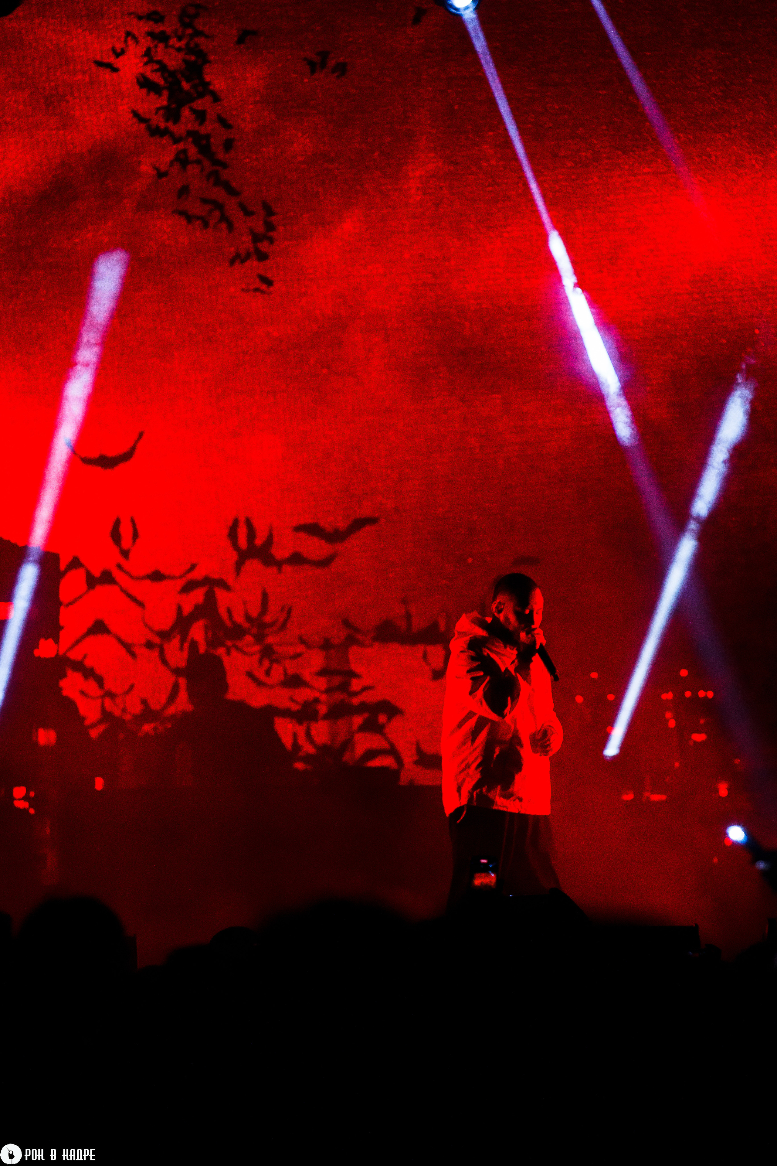 Масло черного тмина / 13.10.2023 / Base. Репортажный и портретный фотограф Русакова Жанна