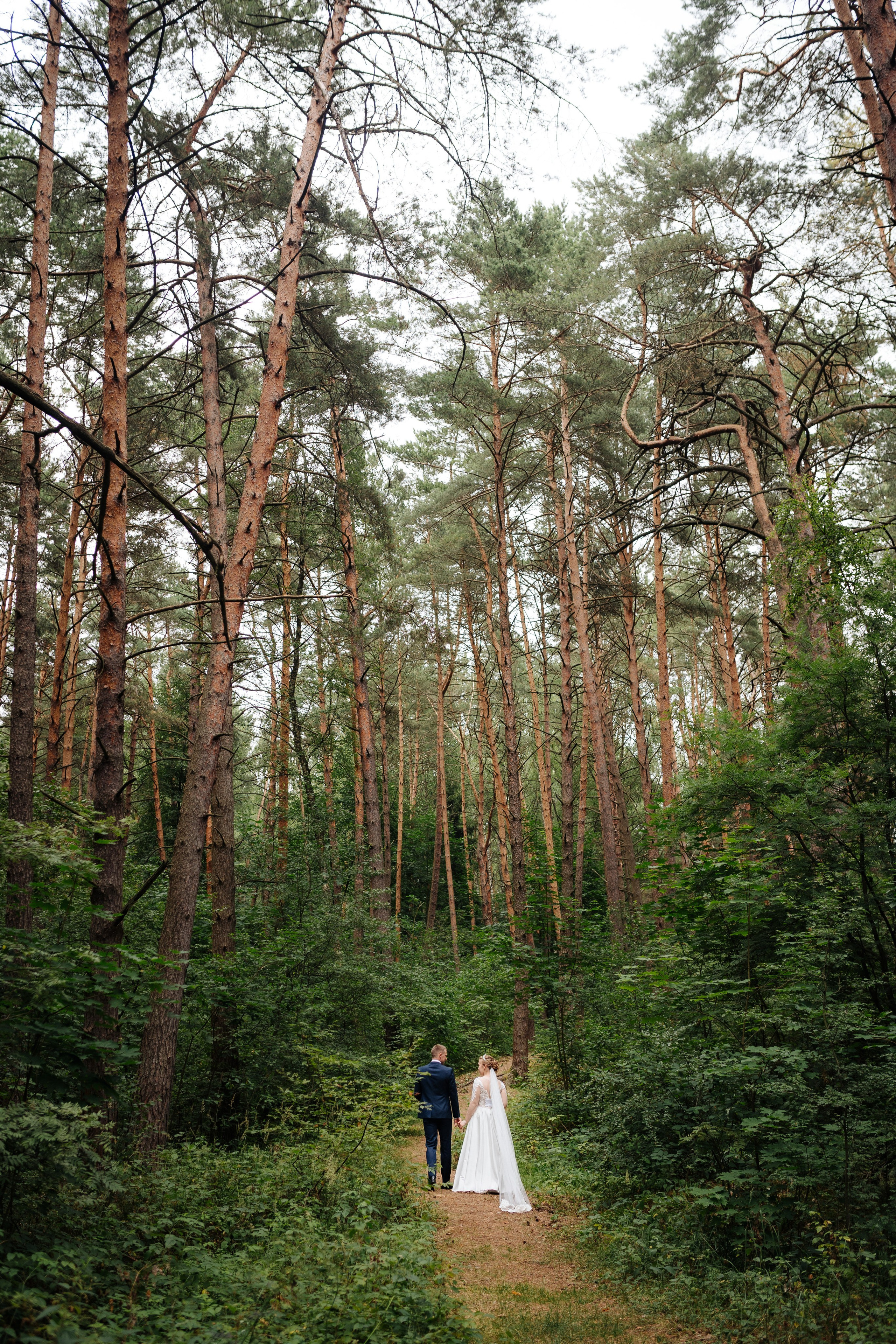 Алина и Сергей. Фотограф и видеограф в Смоленске и Москве Денис Медведев